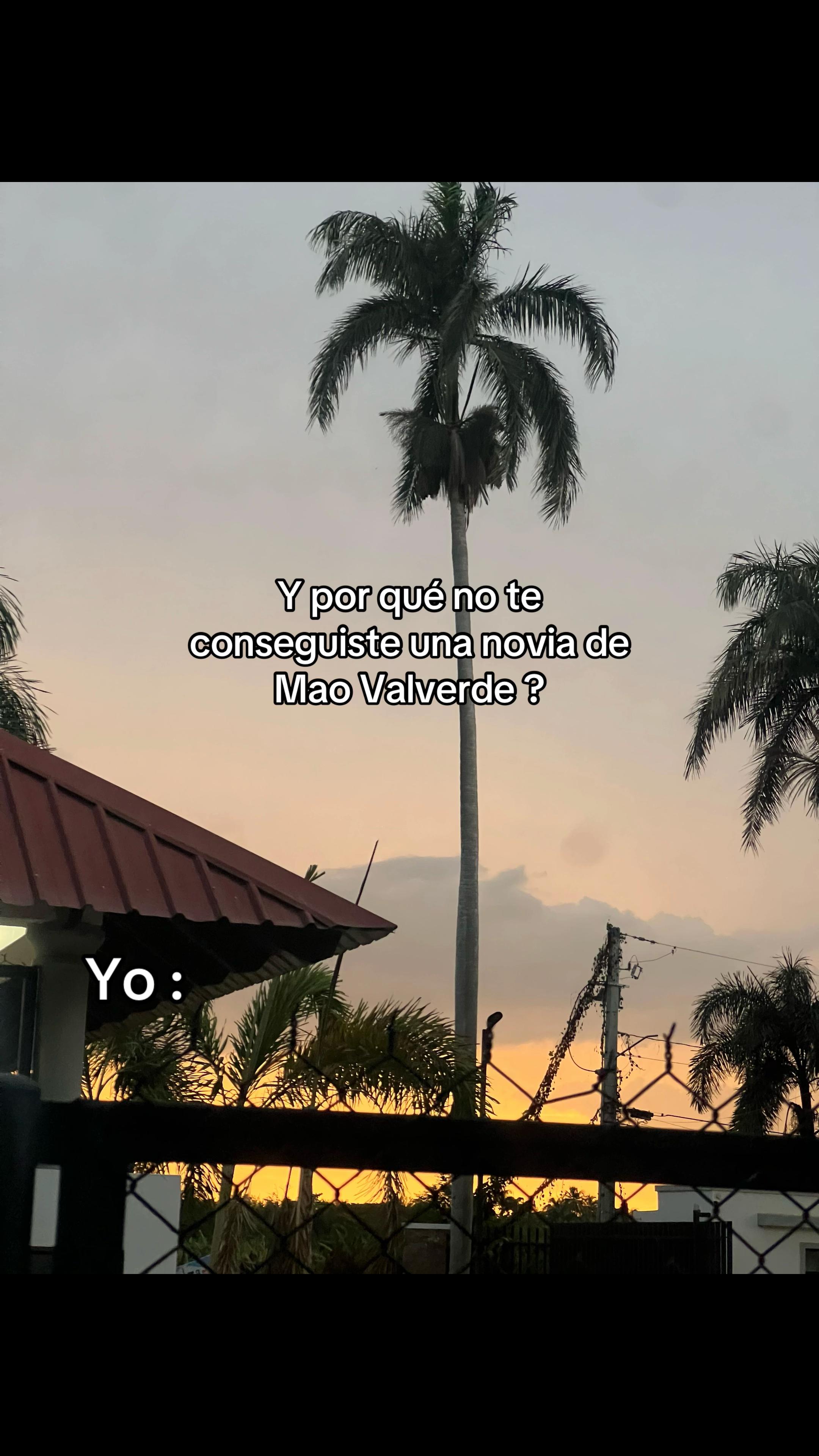 @🤎