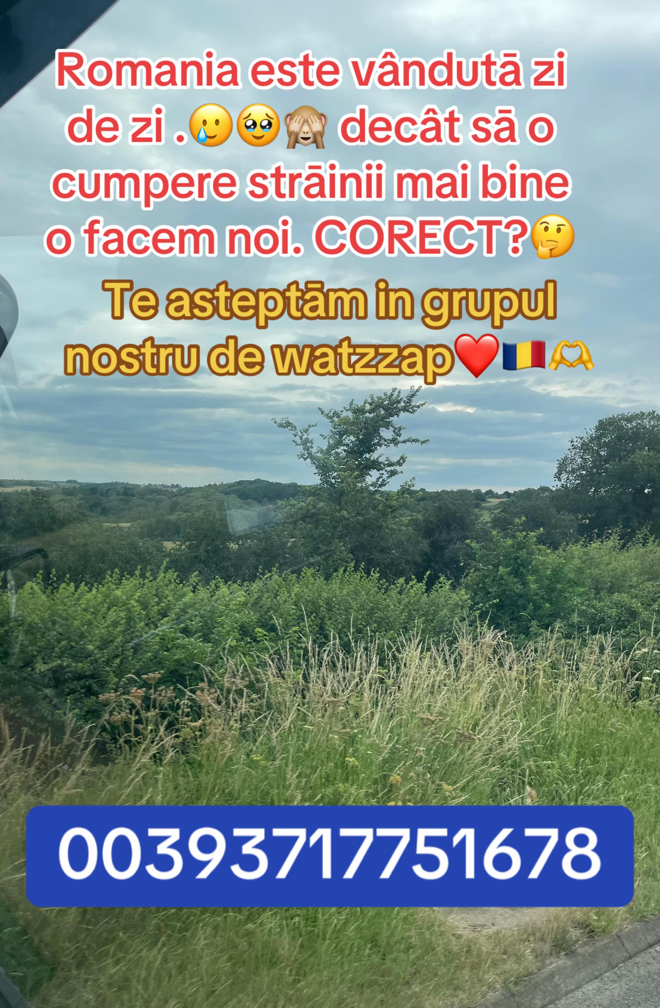 @Mos Craciun