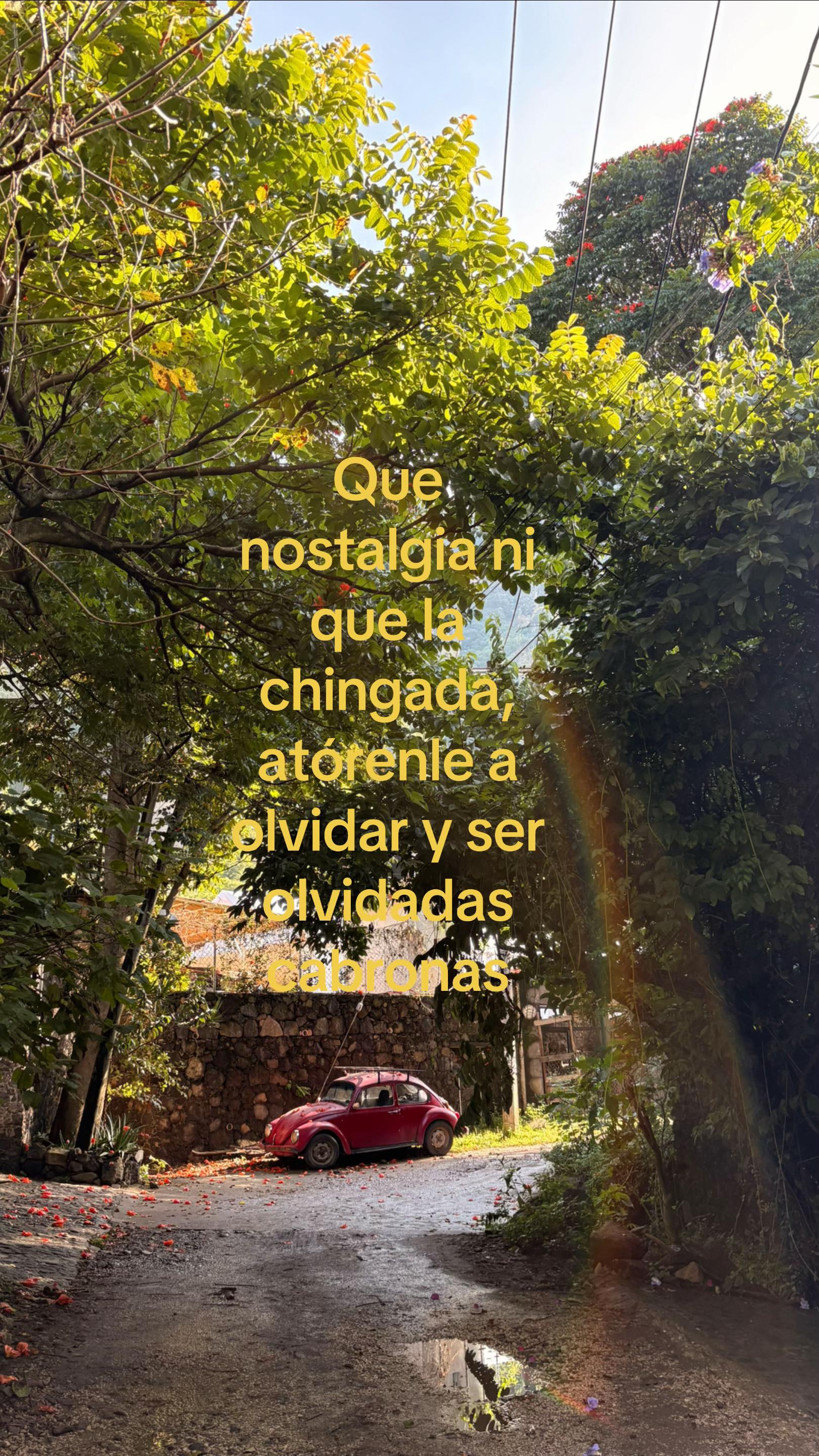 @𝓑