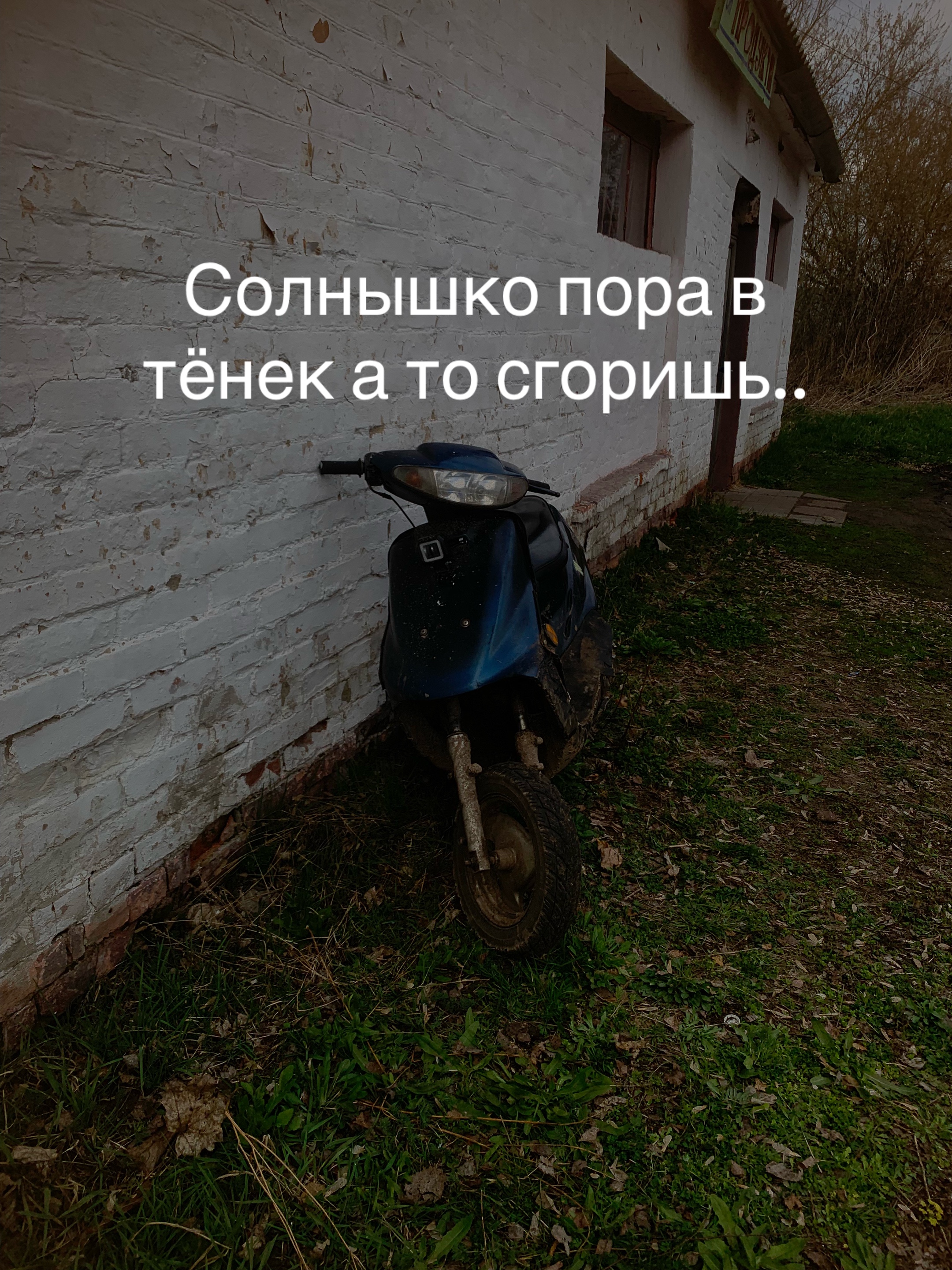 @☠️пилот альфы☠️