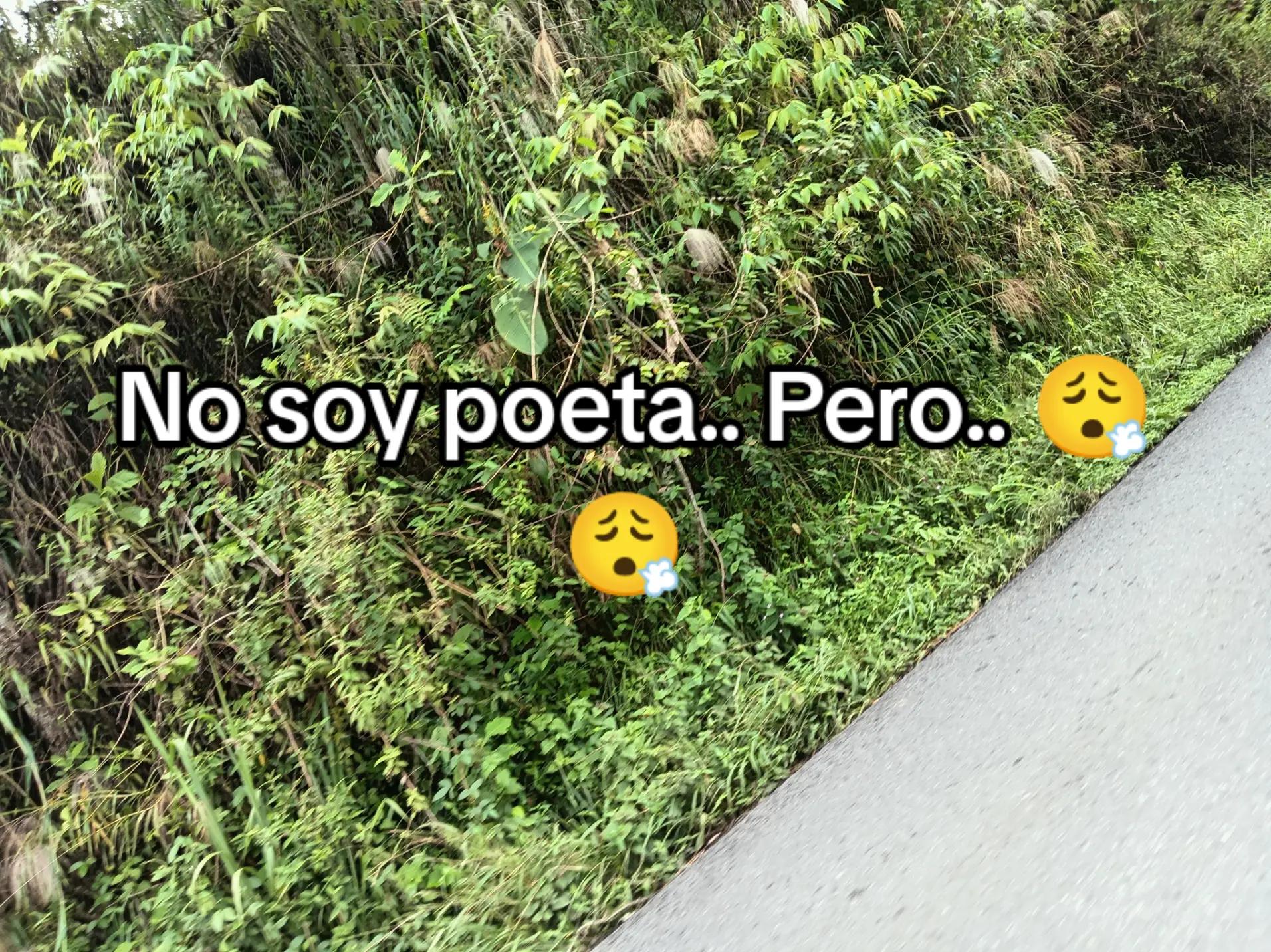 @💖 🦢, " * Gavi * ",🦢💖