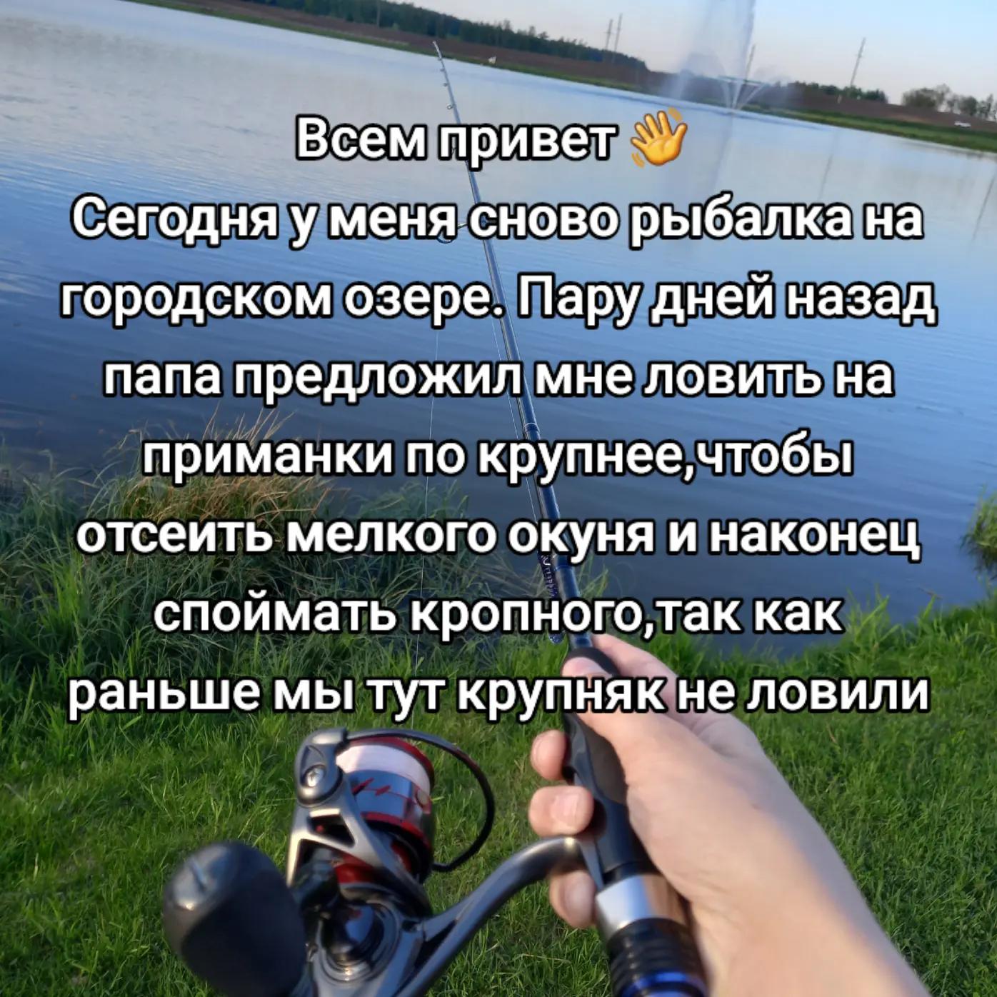 @TimaFish