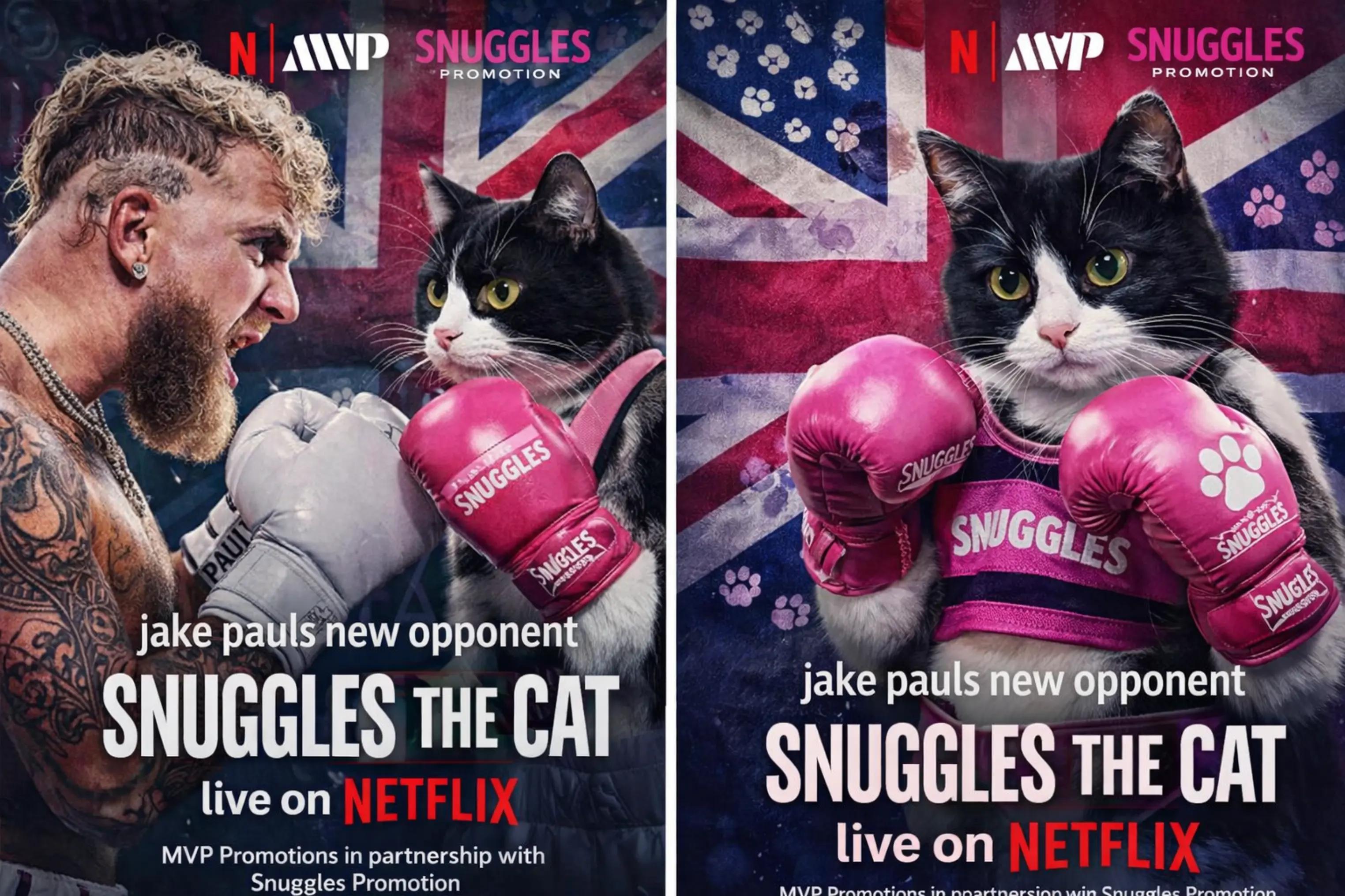 @Snuggles The Cat