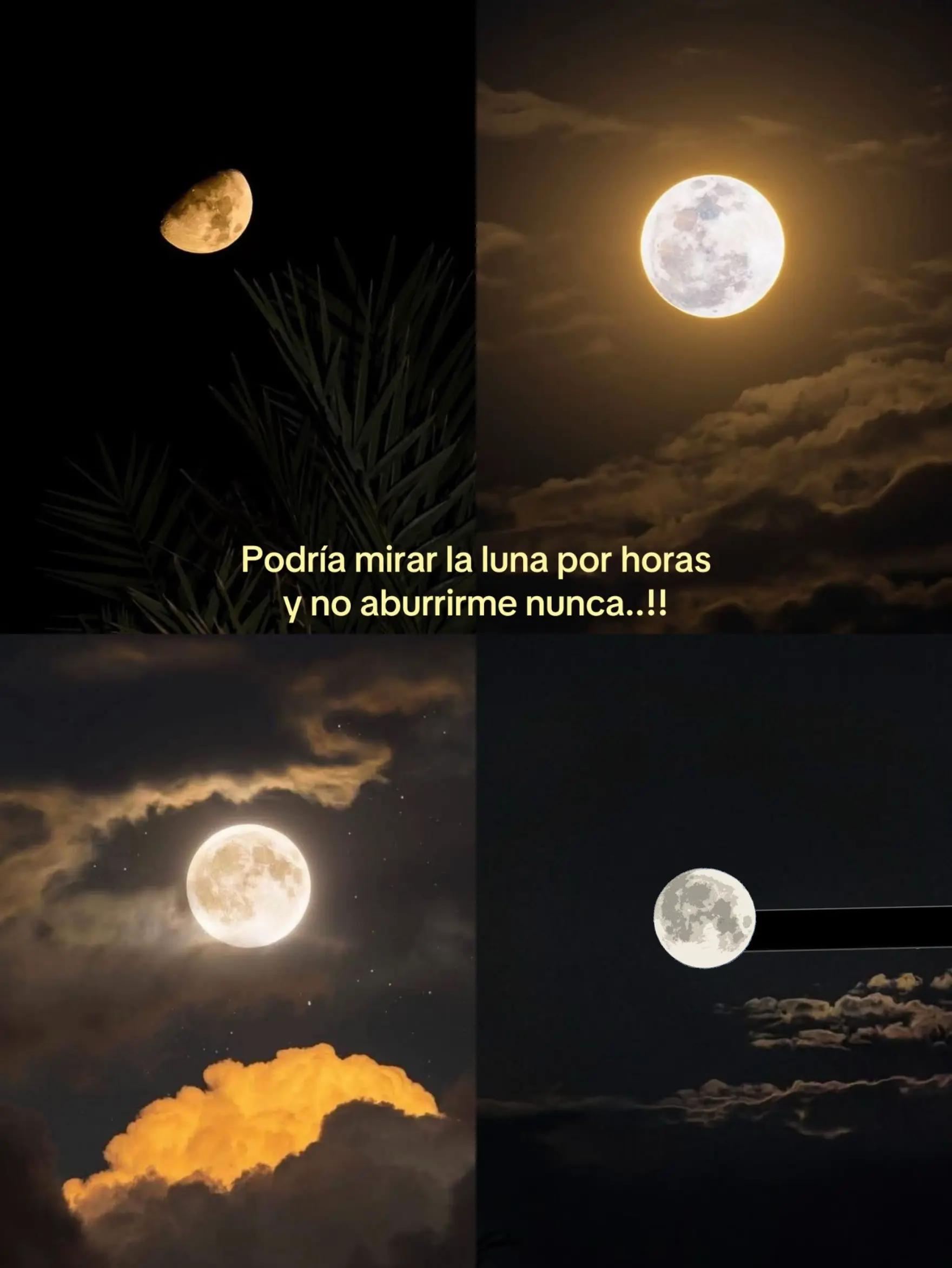 @Lis s