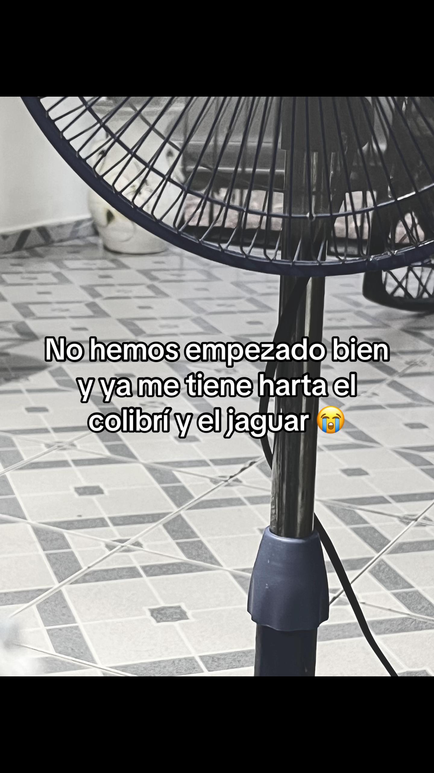 @kityxaio