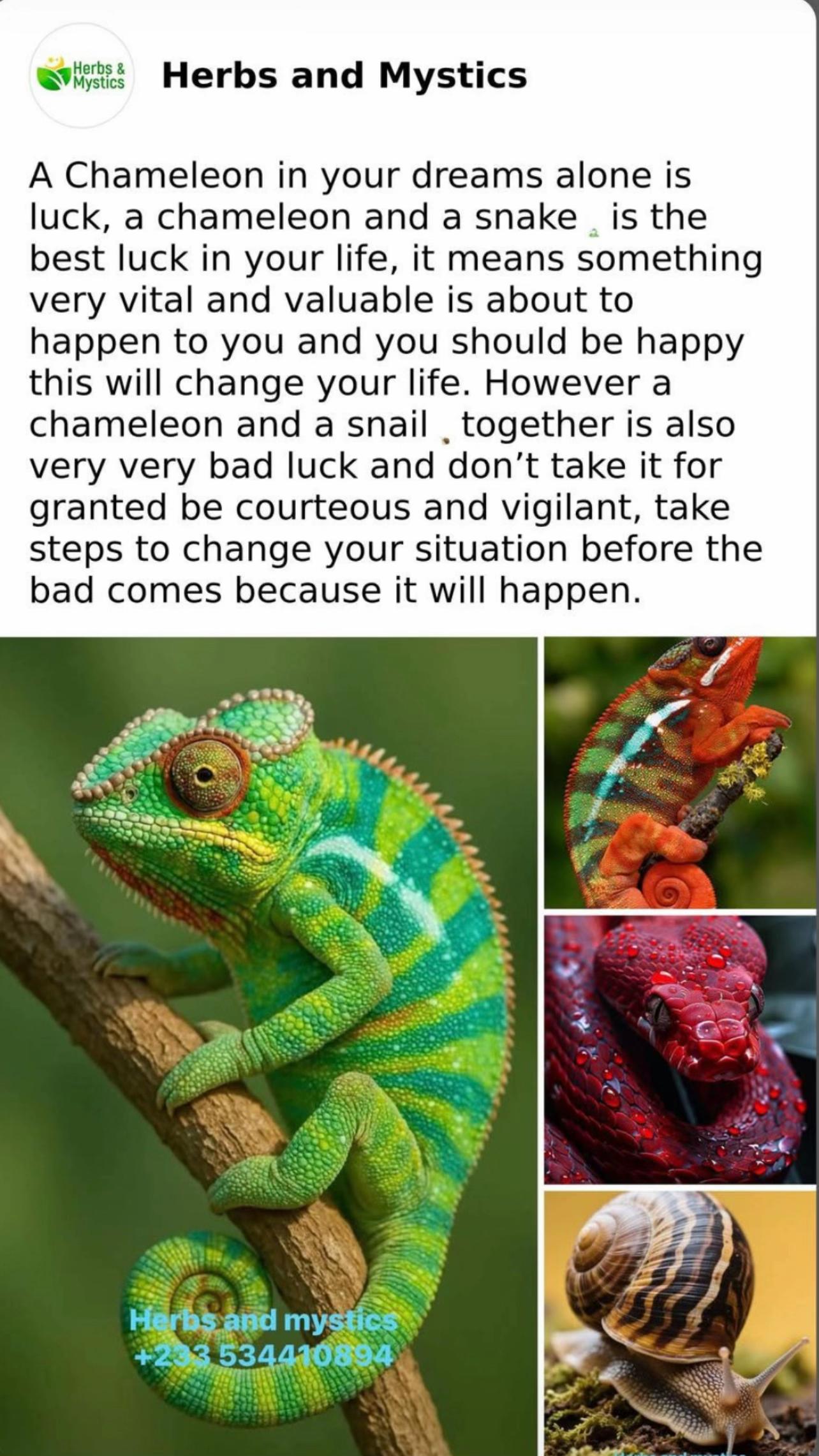 @Herbs And Mystics