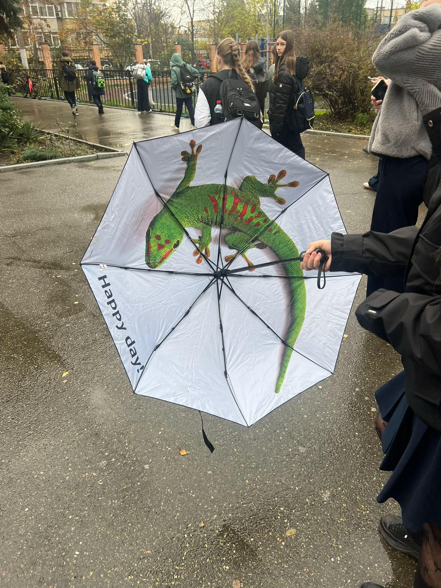 @вьюша