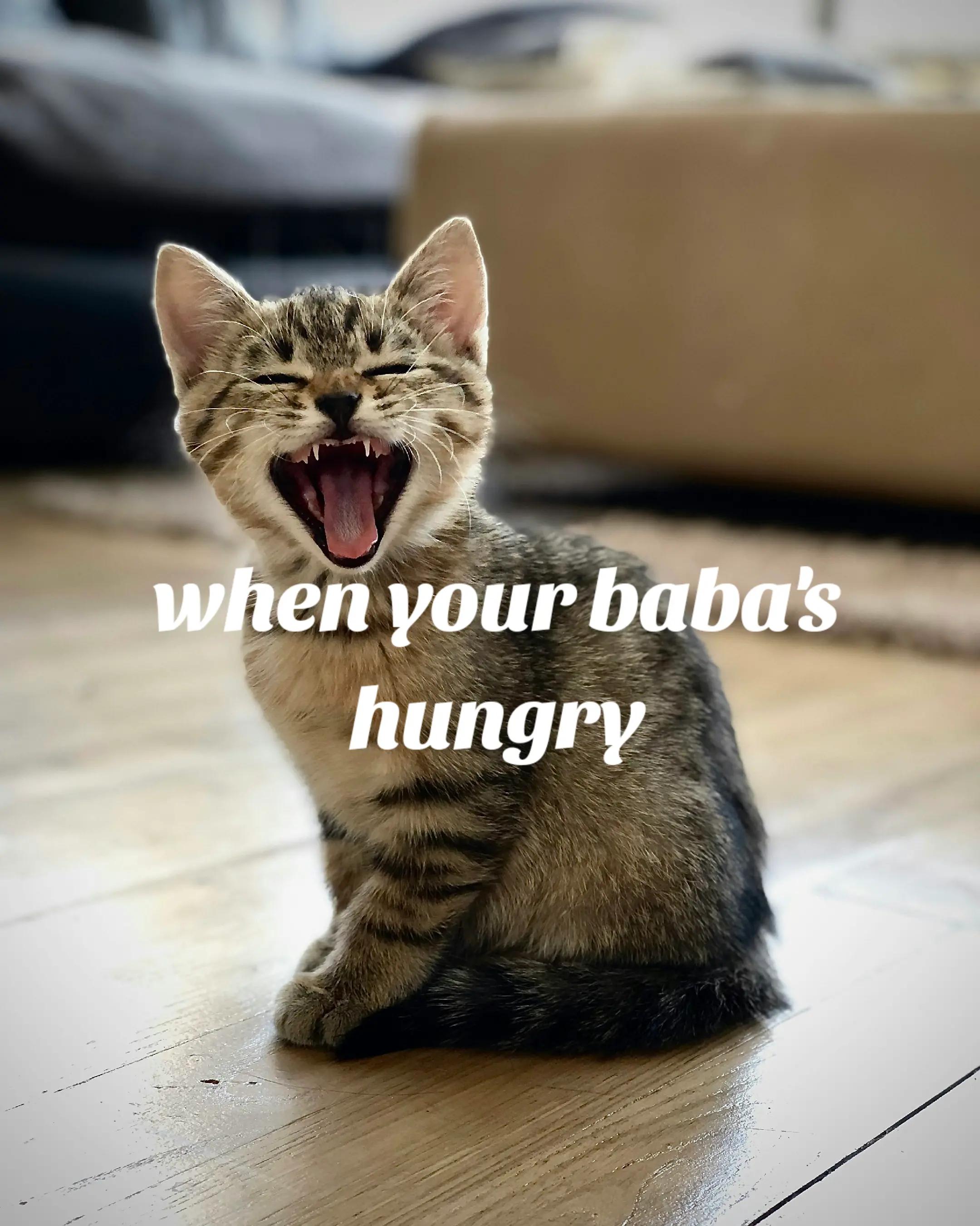 @BabaBear