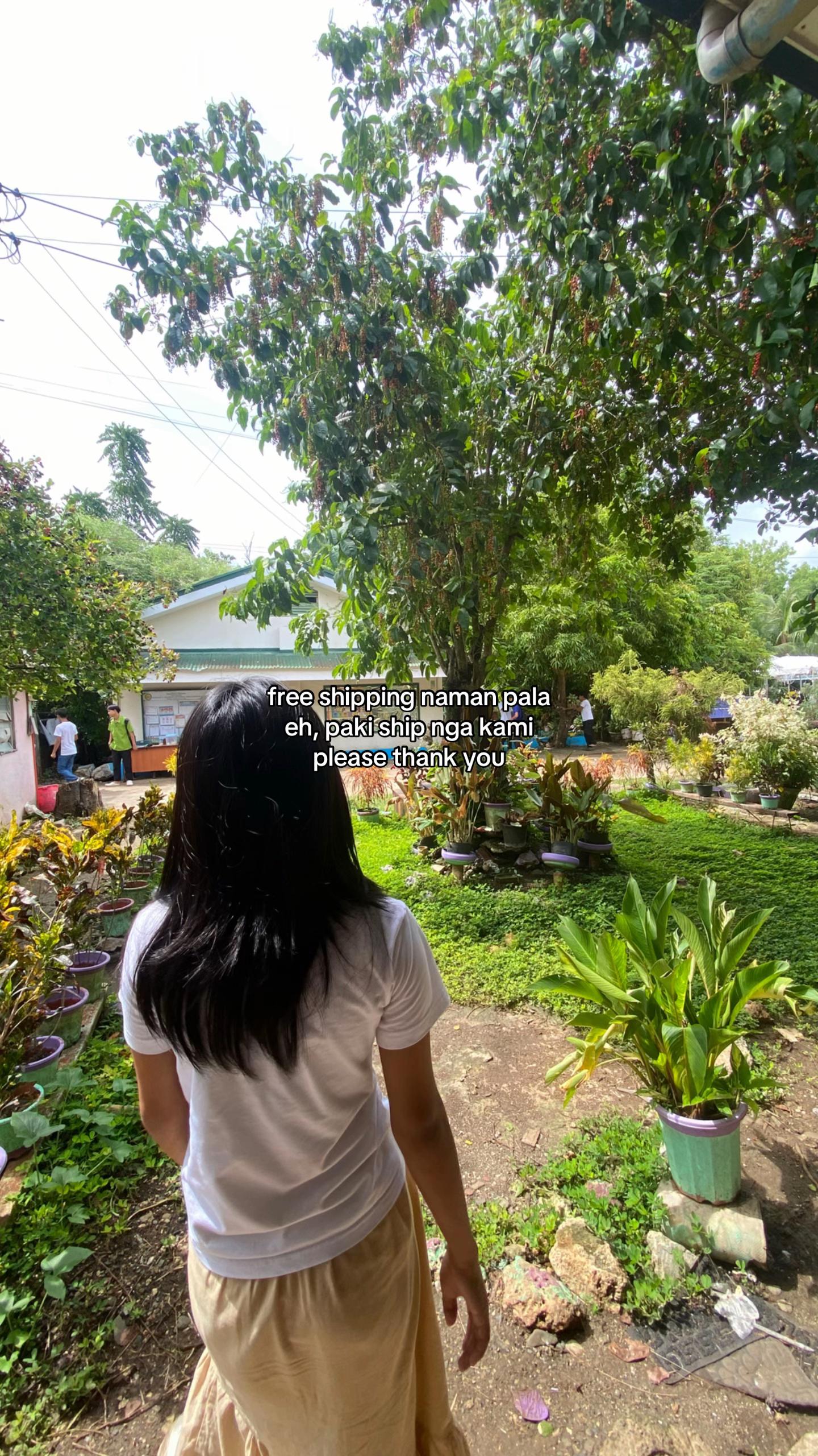 @feliceee