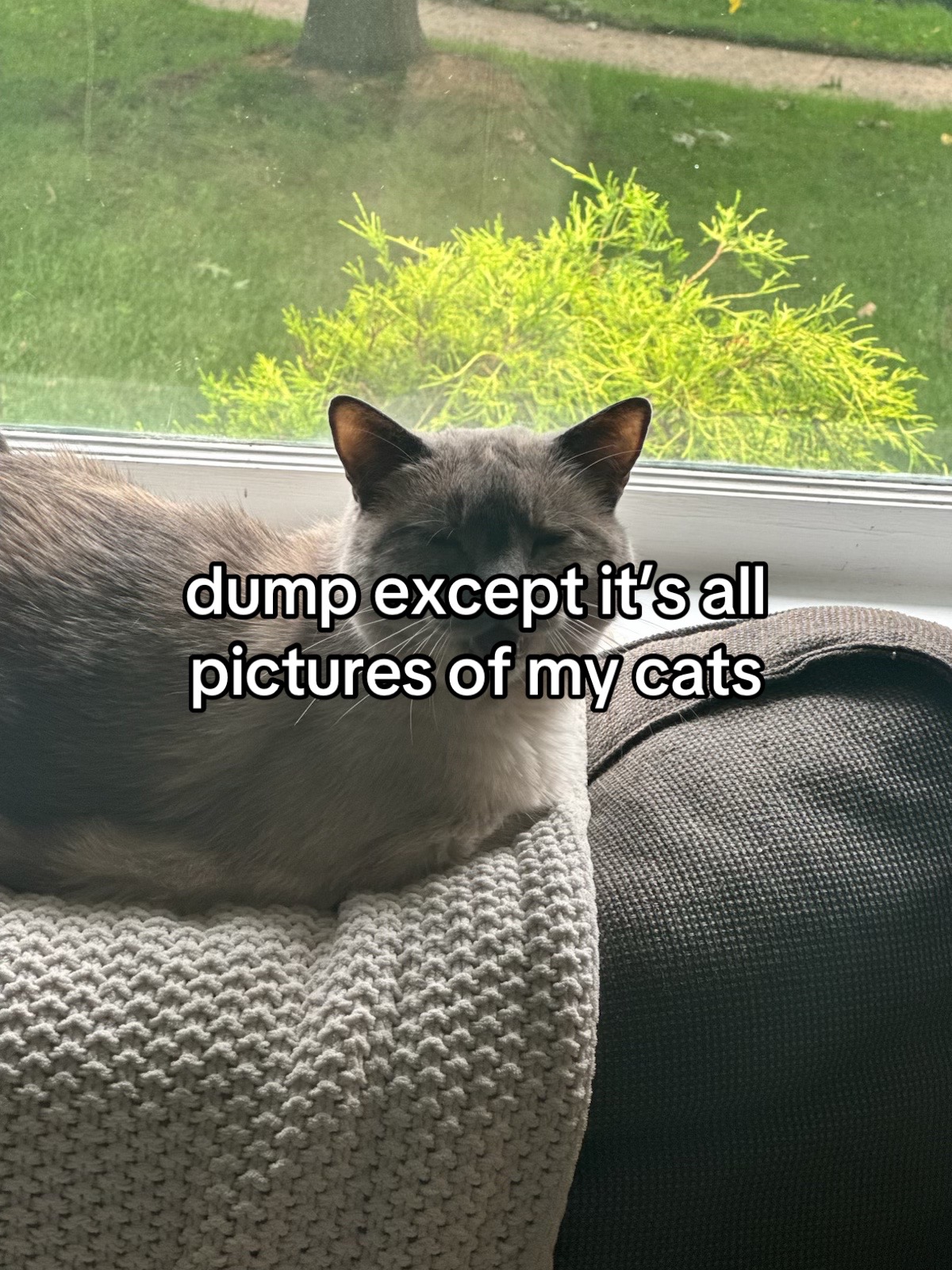 @juju