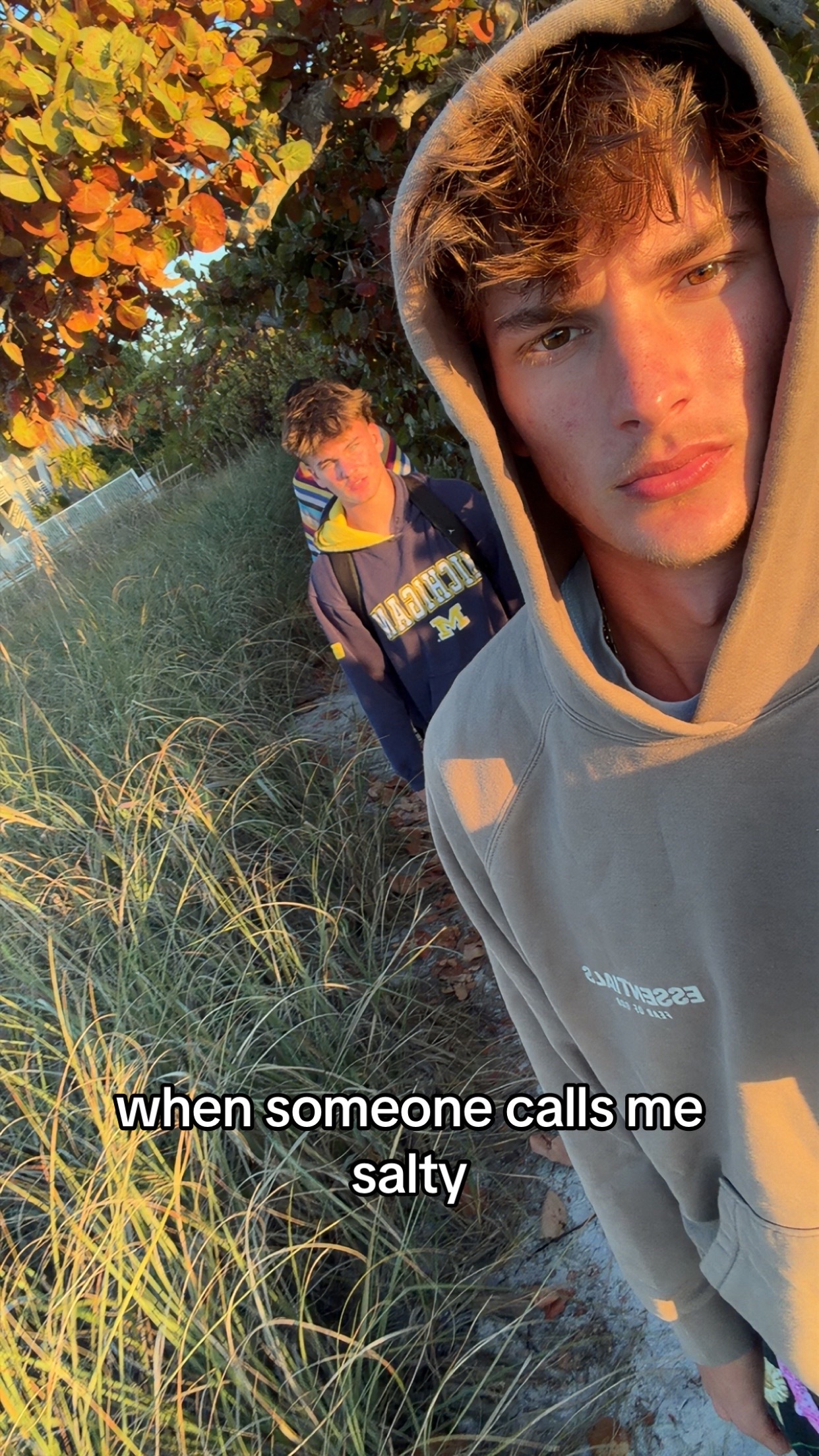 @aydenrs