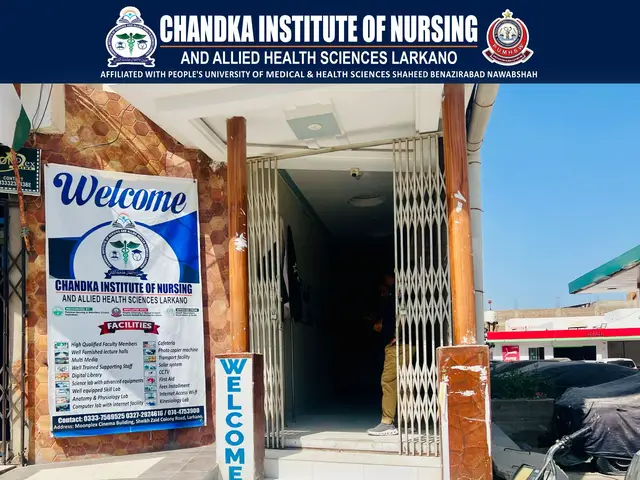 @Chandka Institute Nursing Lark