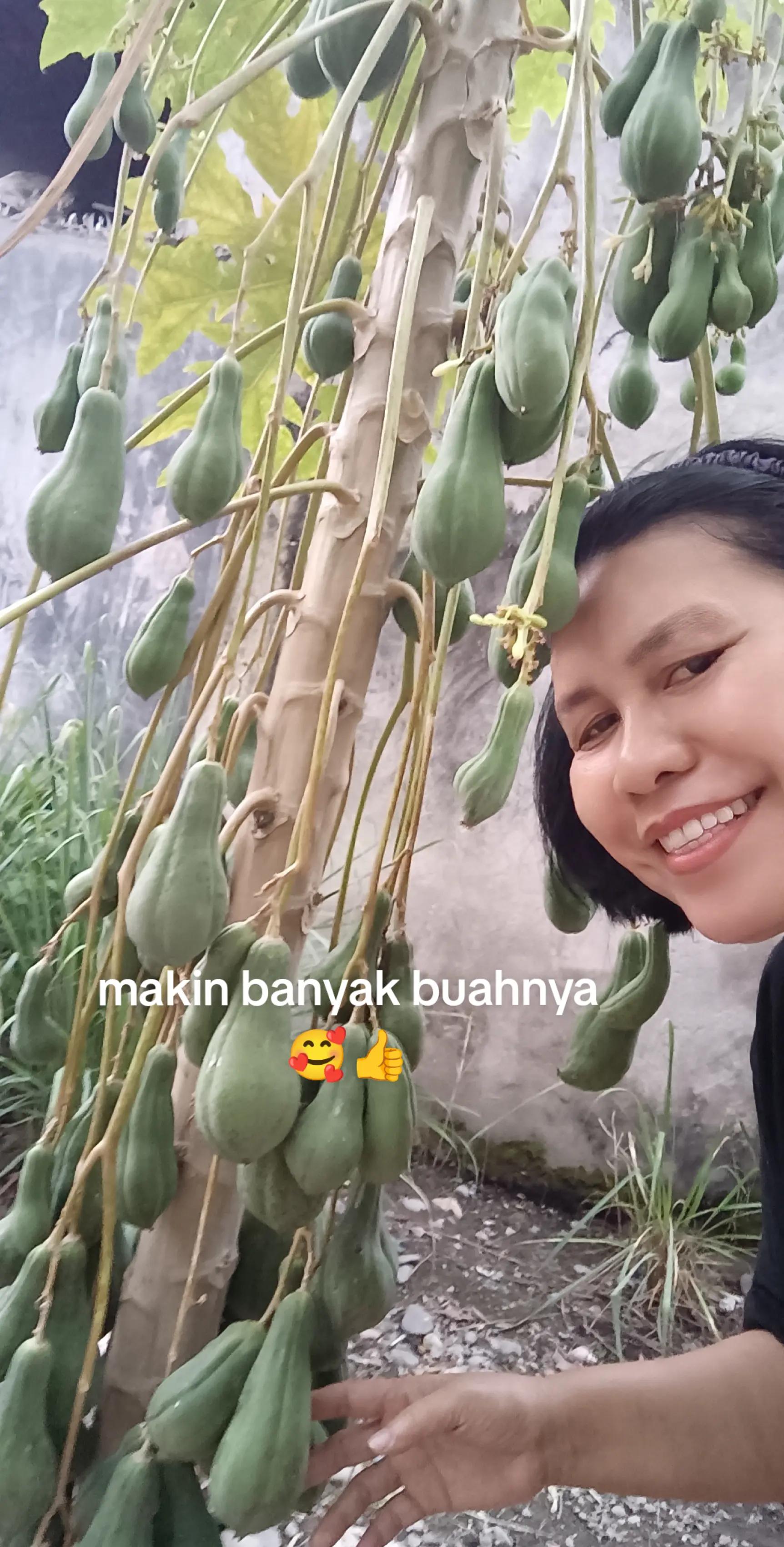@TOKO KEMBARJAYA