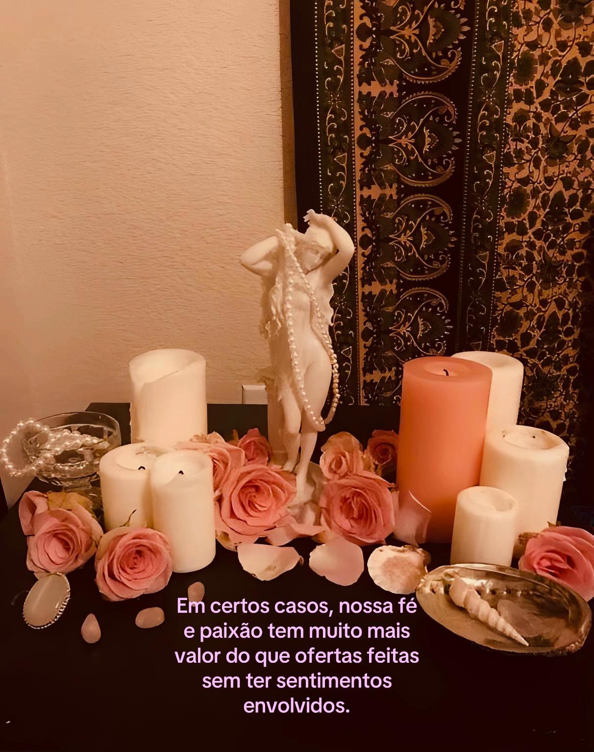 @VENUS ⋆˚꩜。
