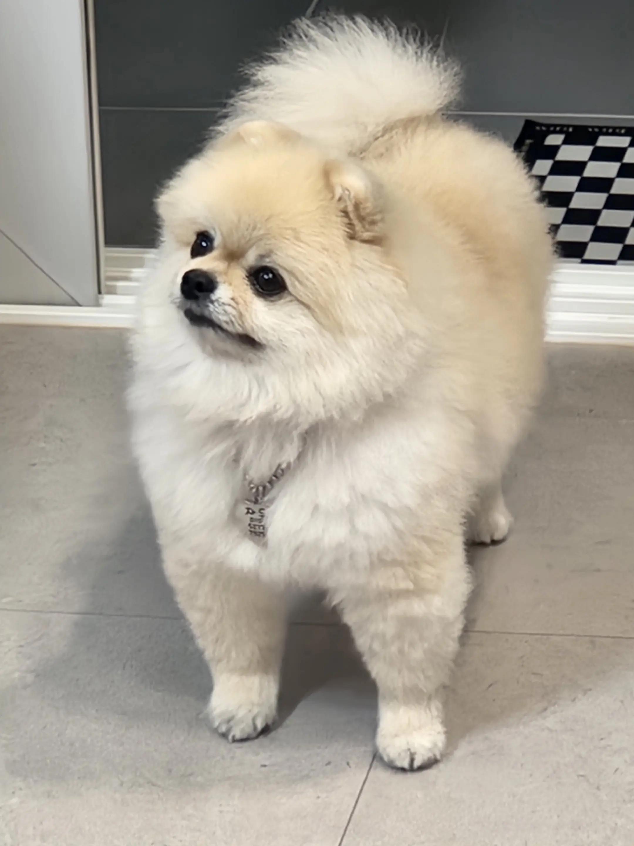 @만리창파