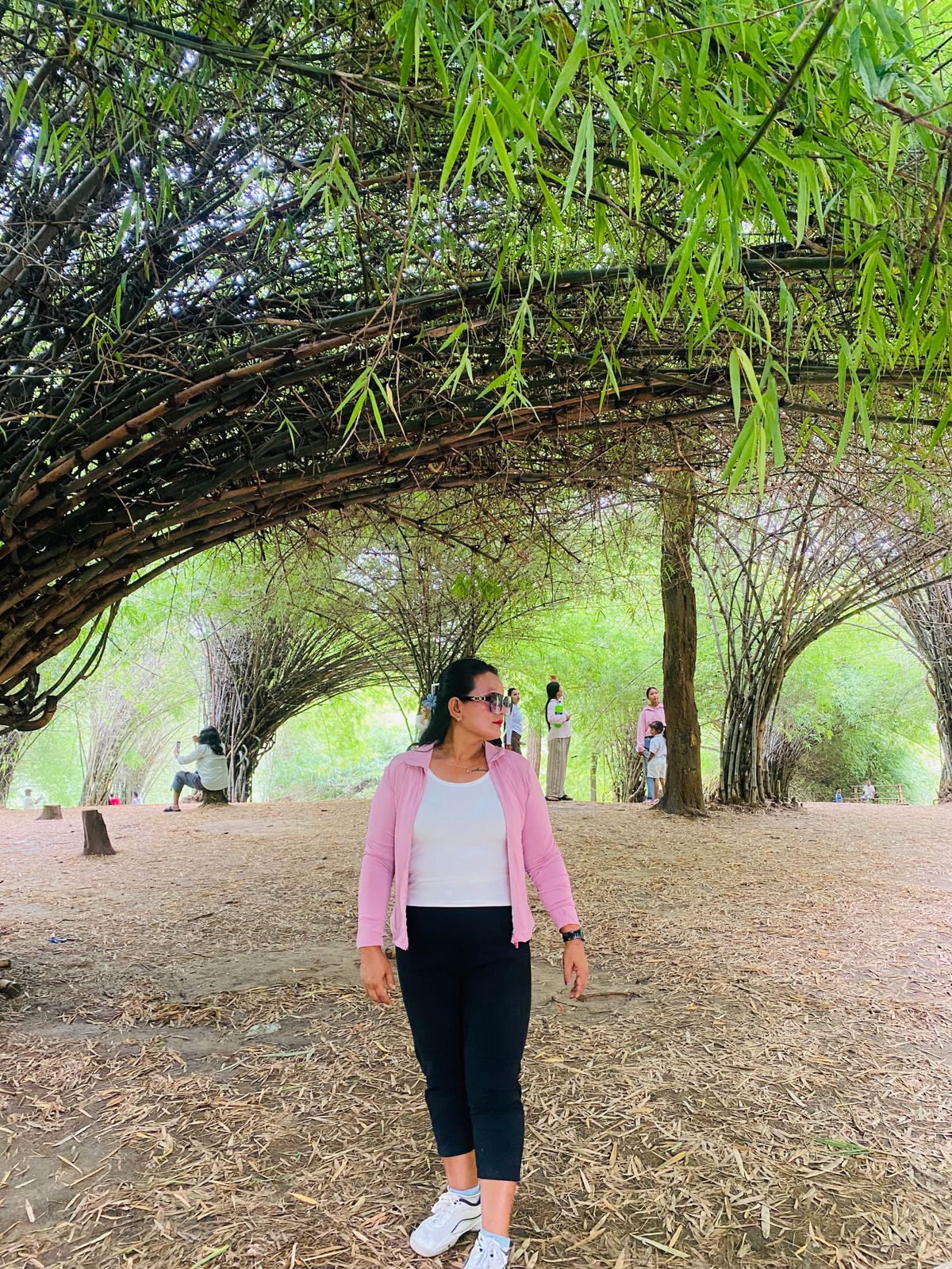 @nishadhaulakoti