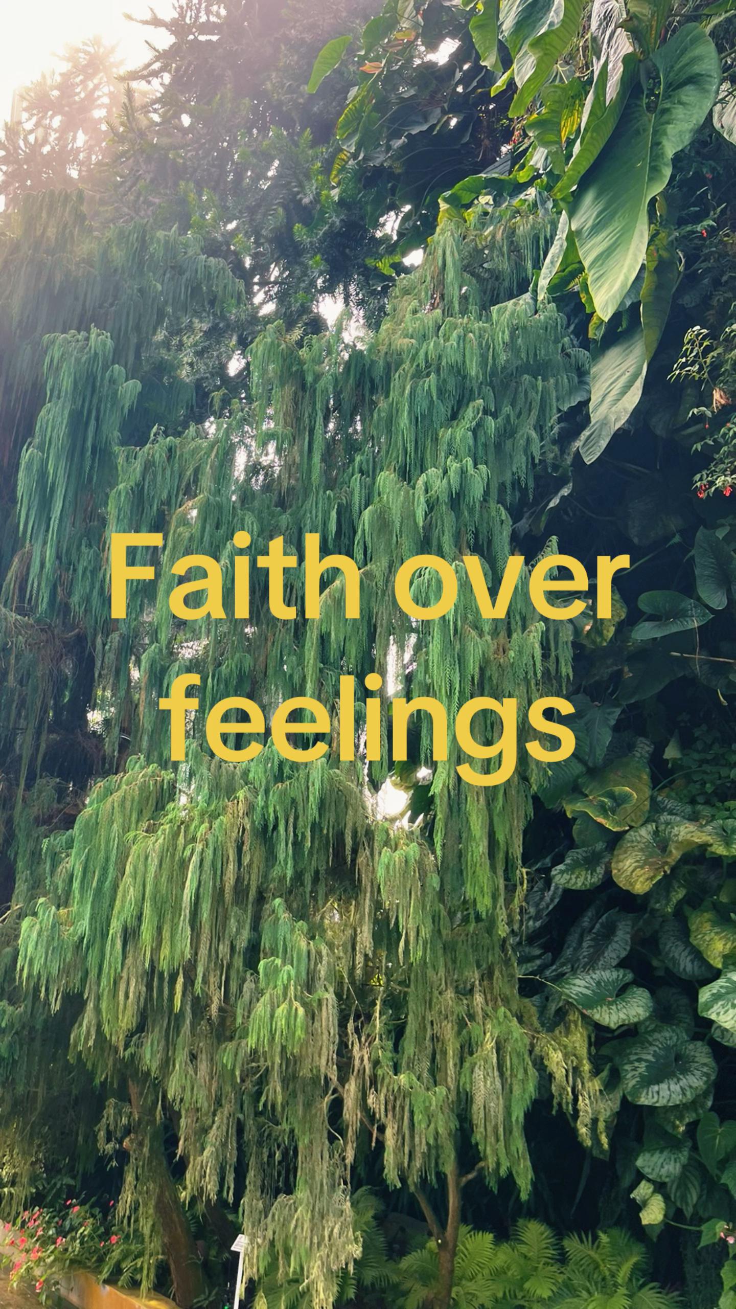@˗ˏˋ ✞ ˎˊ˗