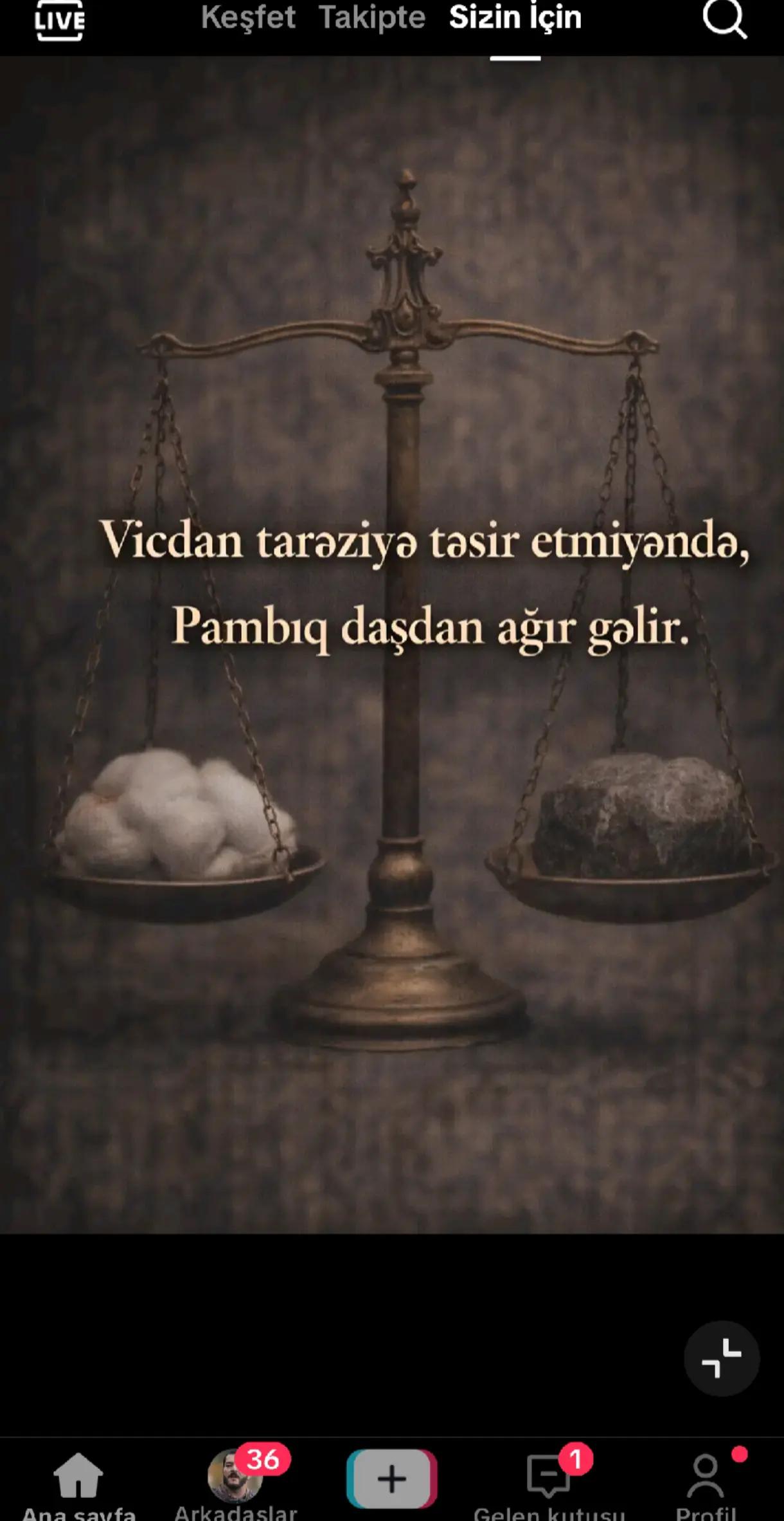 @🐊Belkede Bir Gün🐊
