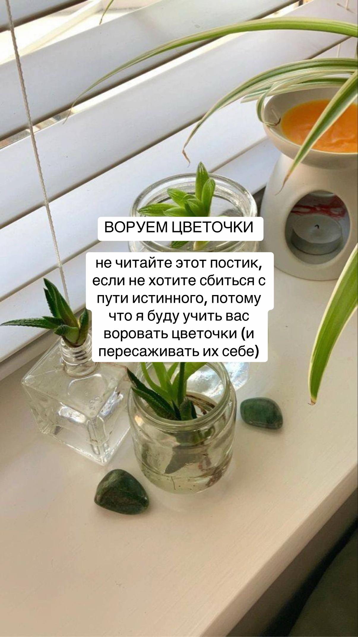 @леся ᴗ̈