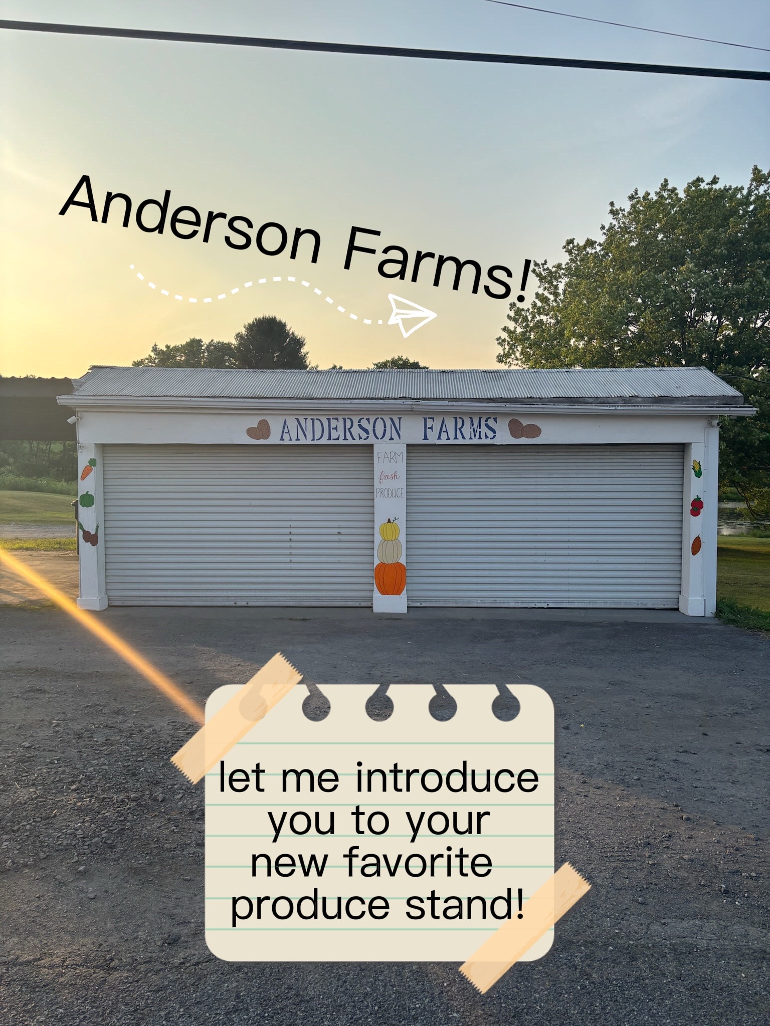 @Anderson Farms