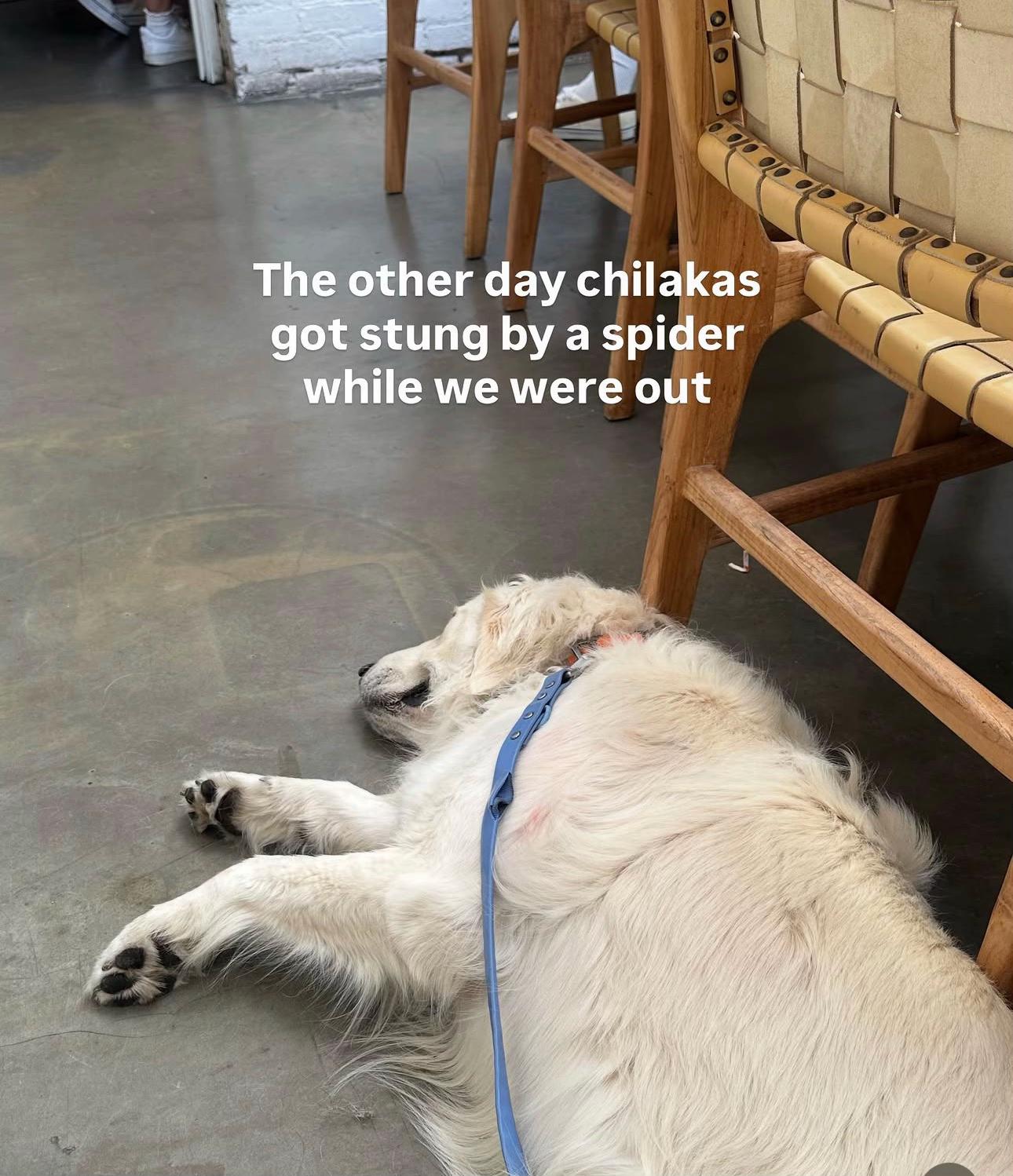 @Chilaquil