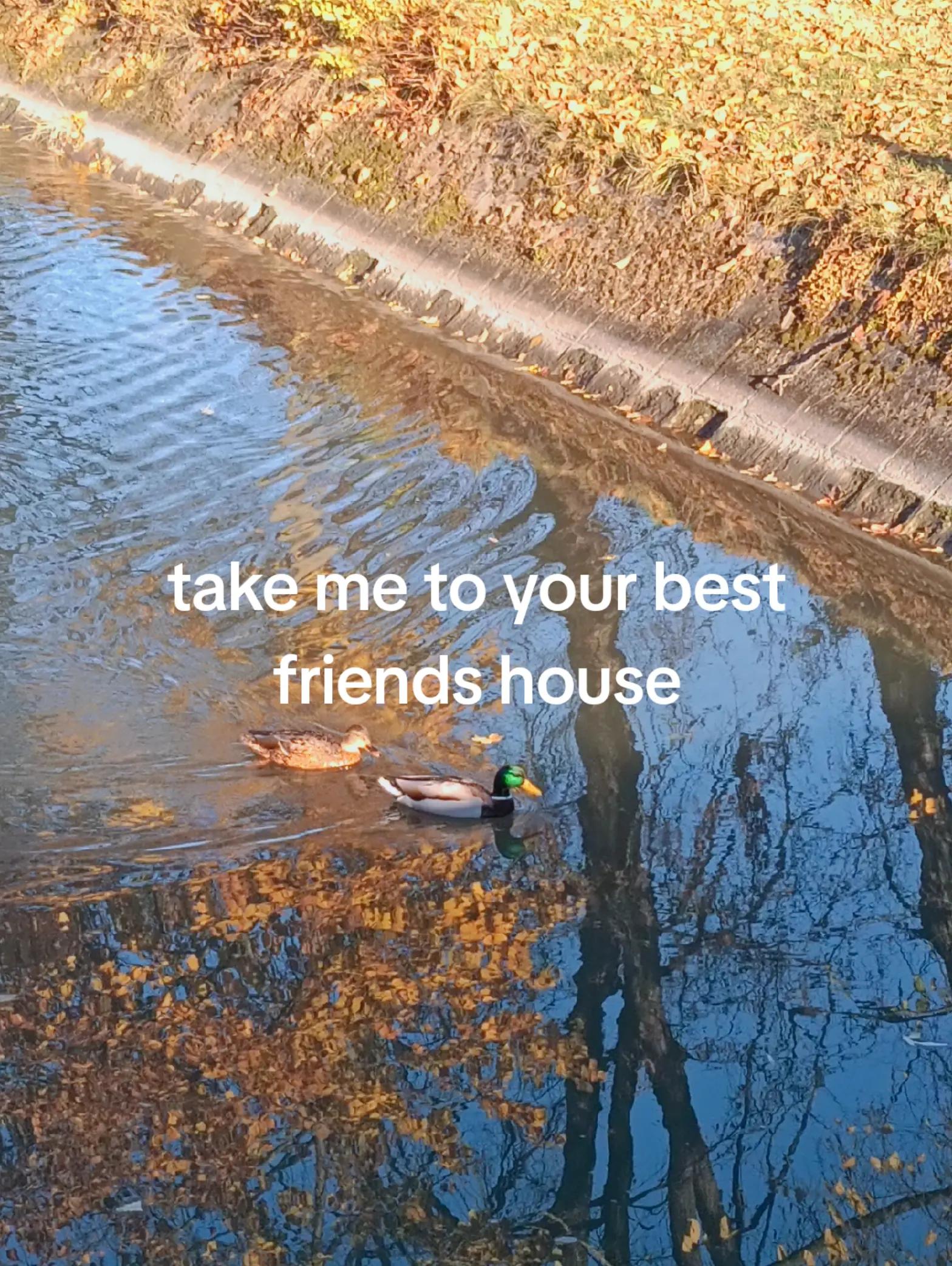 @🦋🦋🦋