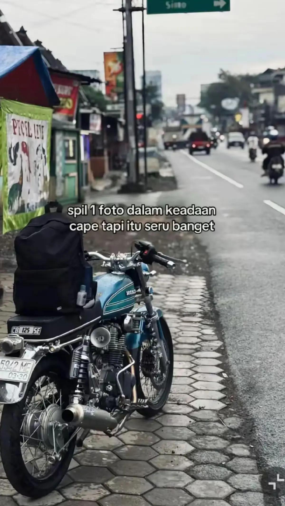 @Pidan⚡