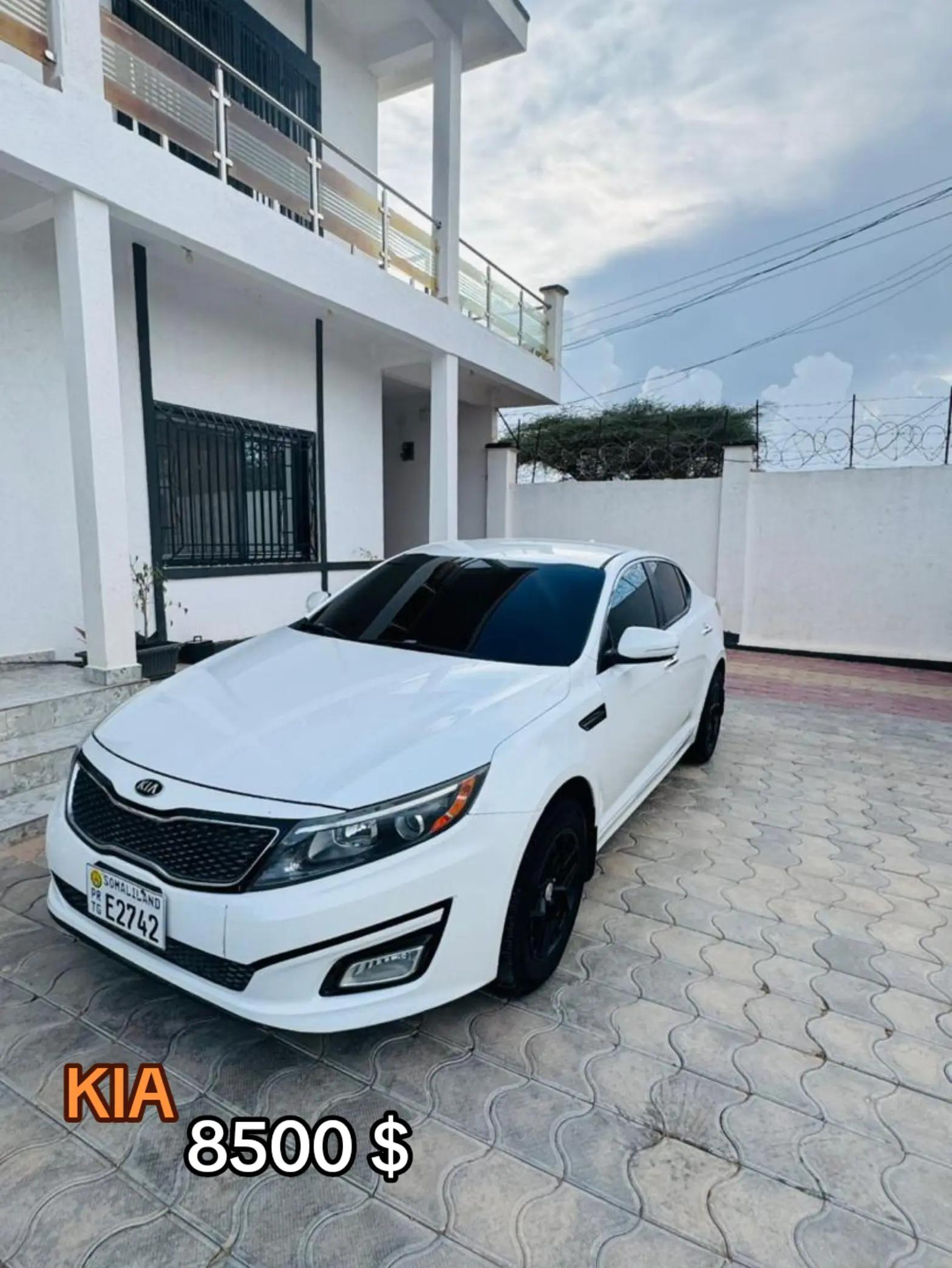 @DHEREYE AUTO