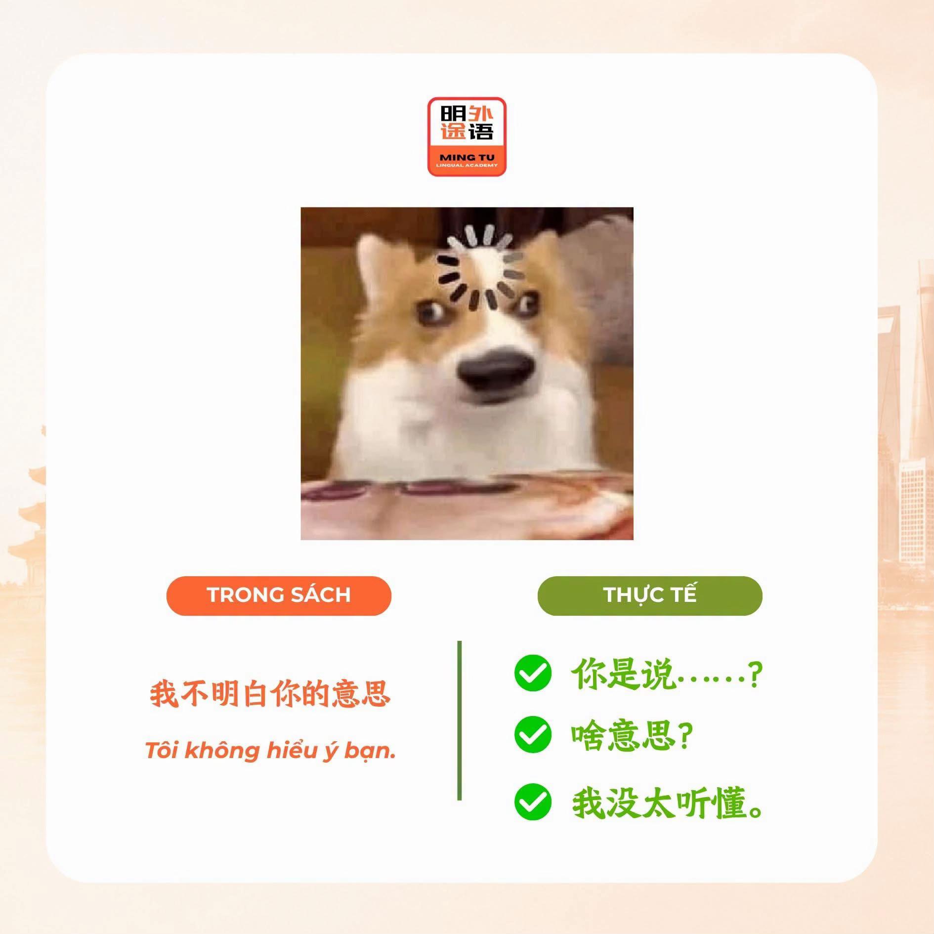 @一起学中文 👏🏻🫂