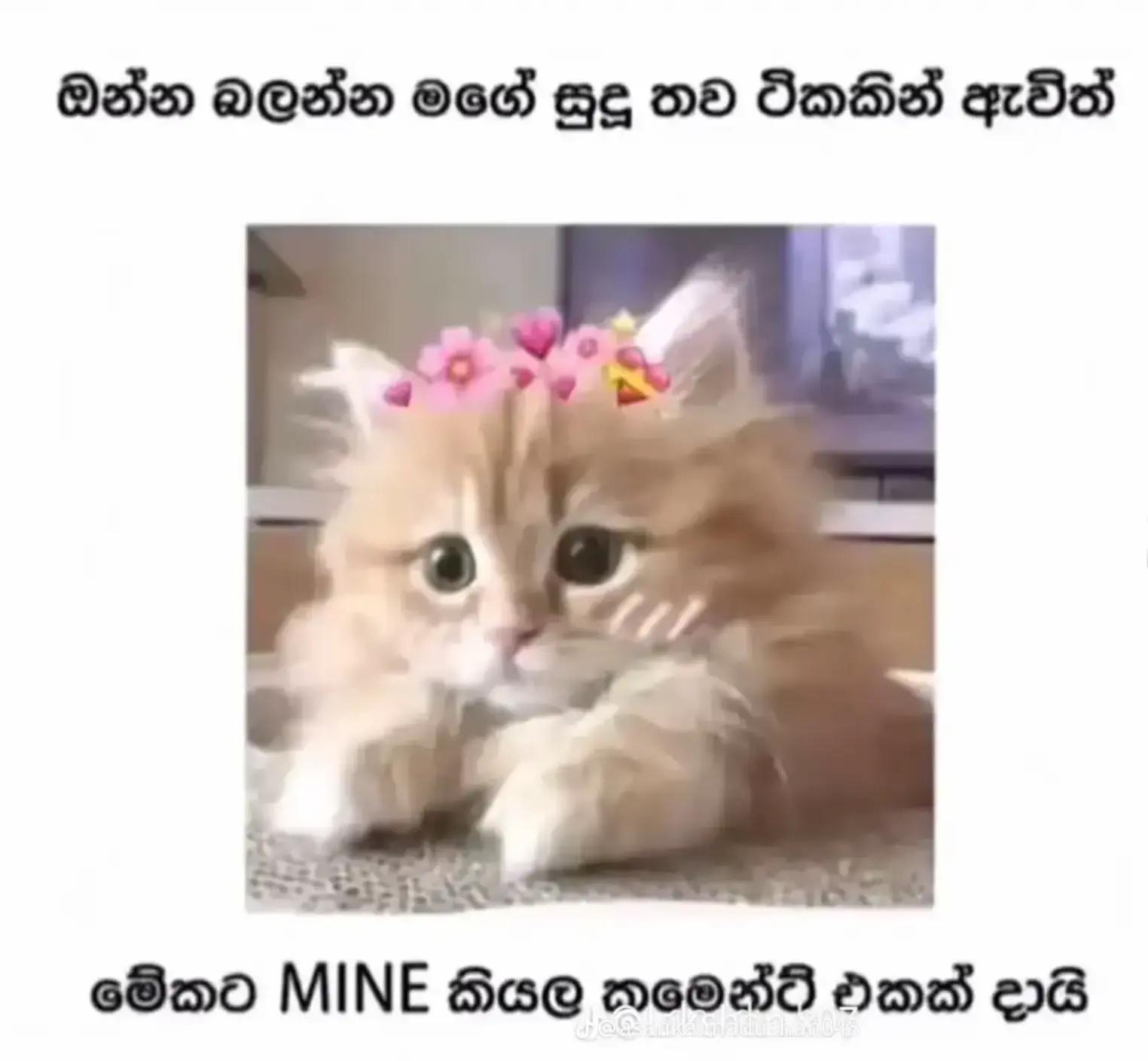 @𝗦ʜᴀᴋɪ...!💫