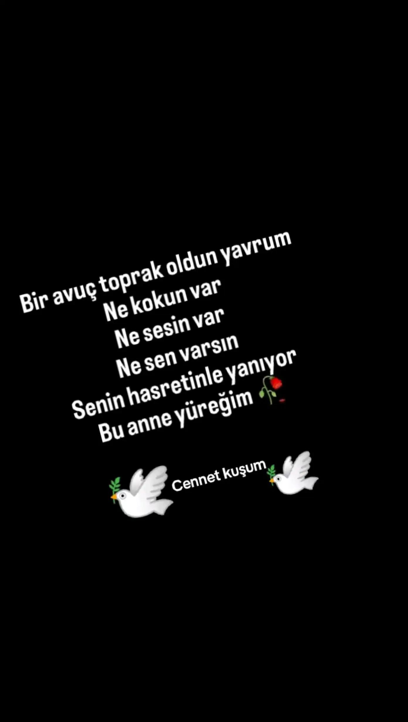 @papatya