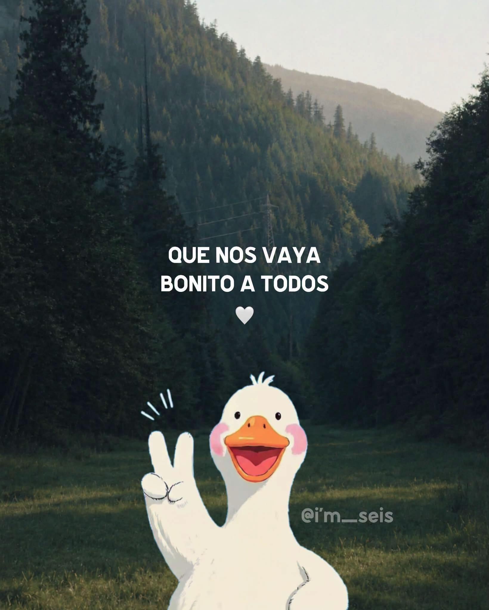 @★ojitos🩷★