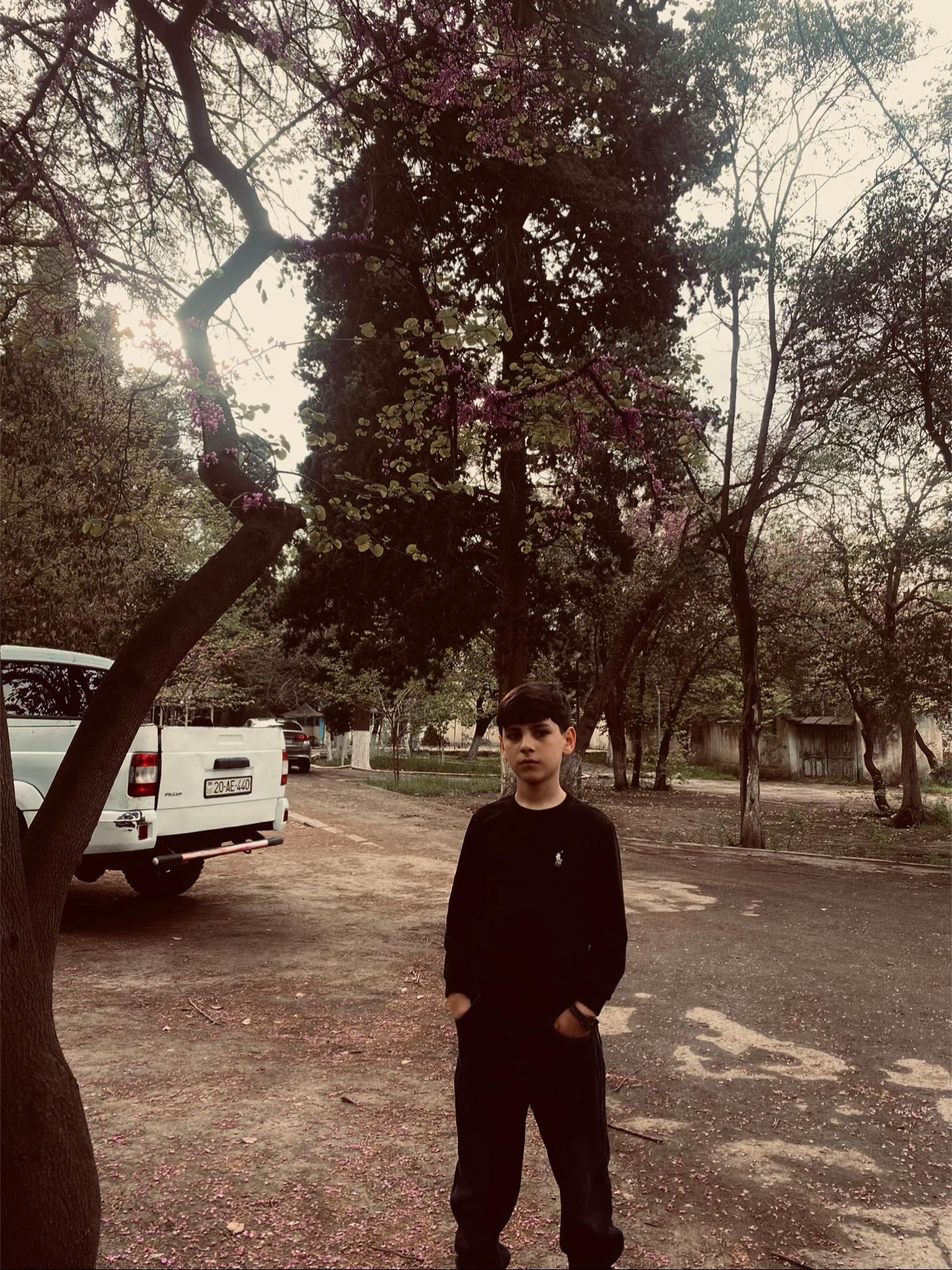 @Qusi ⚜️