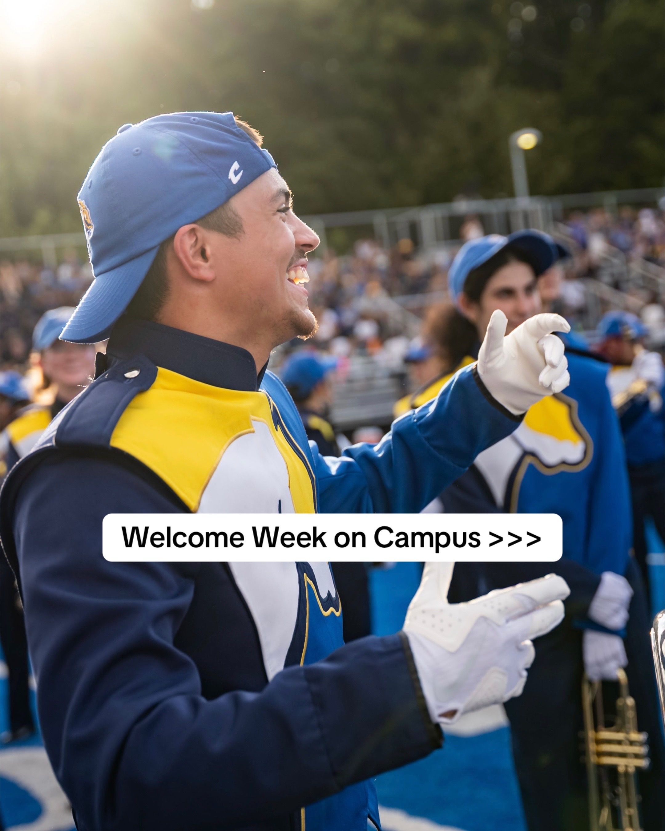 @University of New Haven
