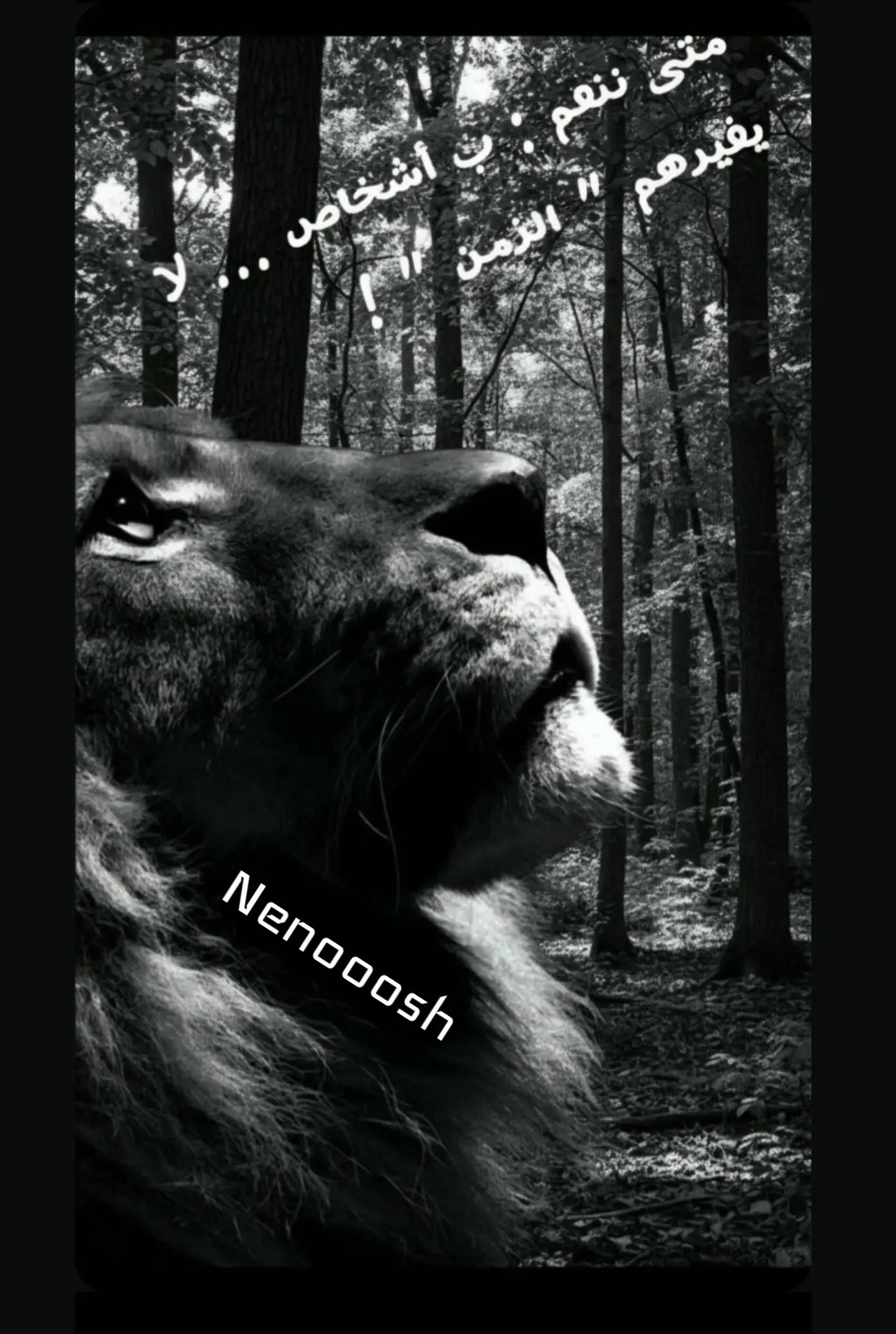 @꧁༺القمر༻꧂