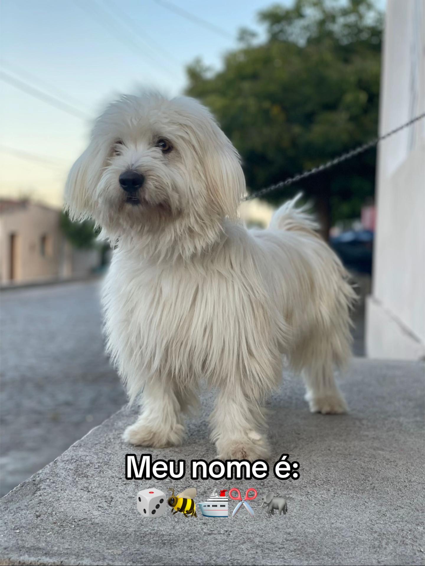 @Adriely Teresa🤍