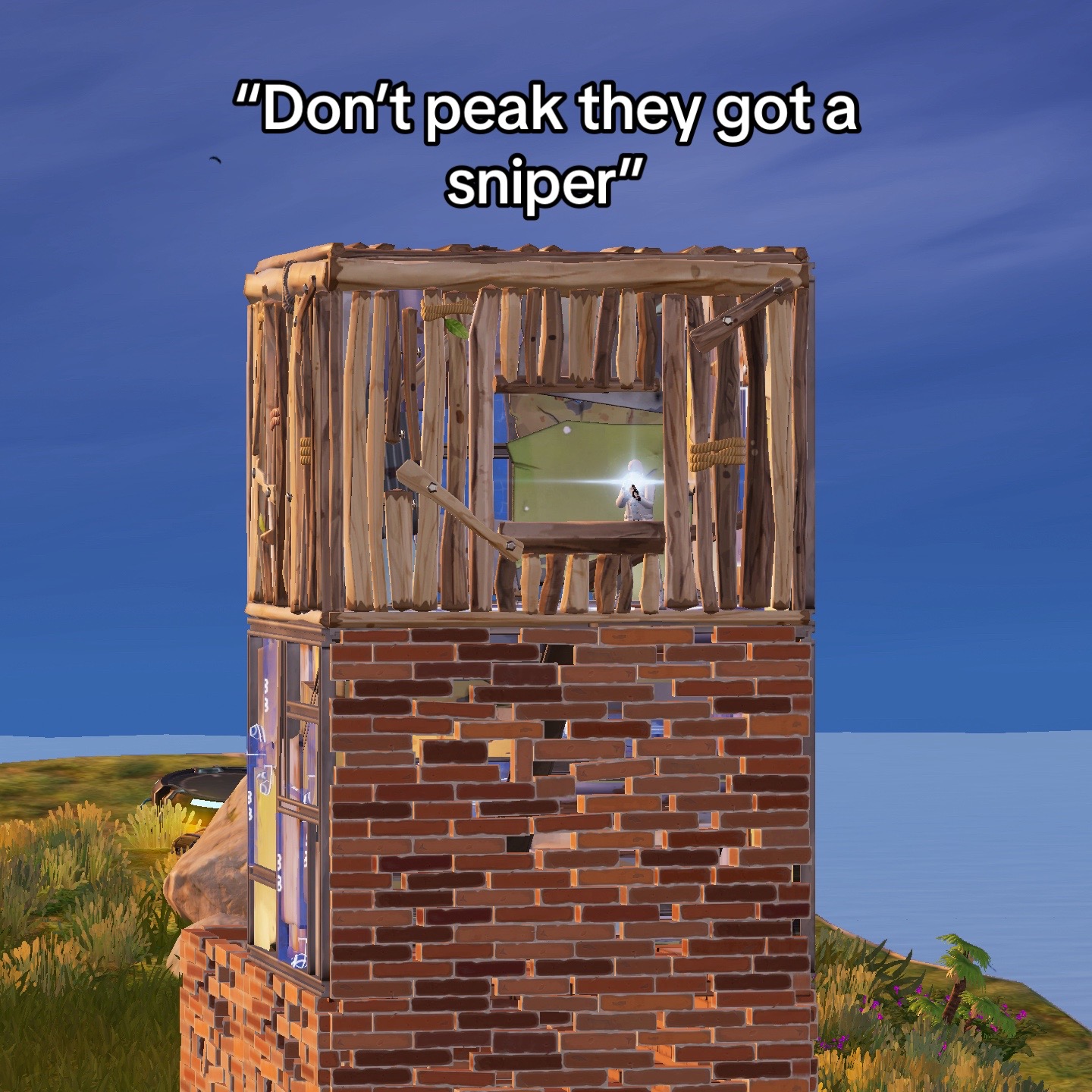 @mario