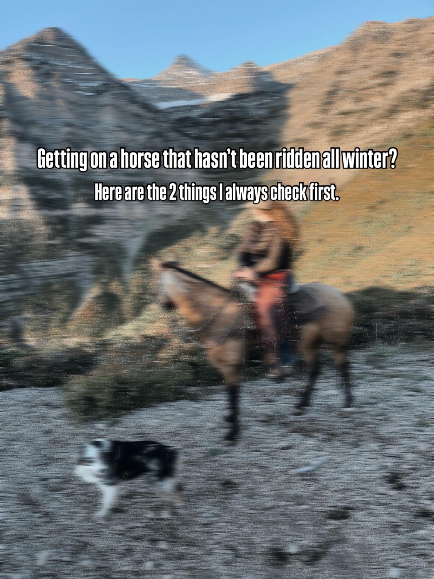 @wild.horsewoman