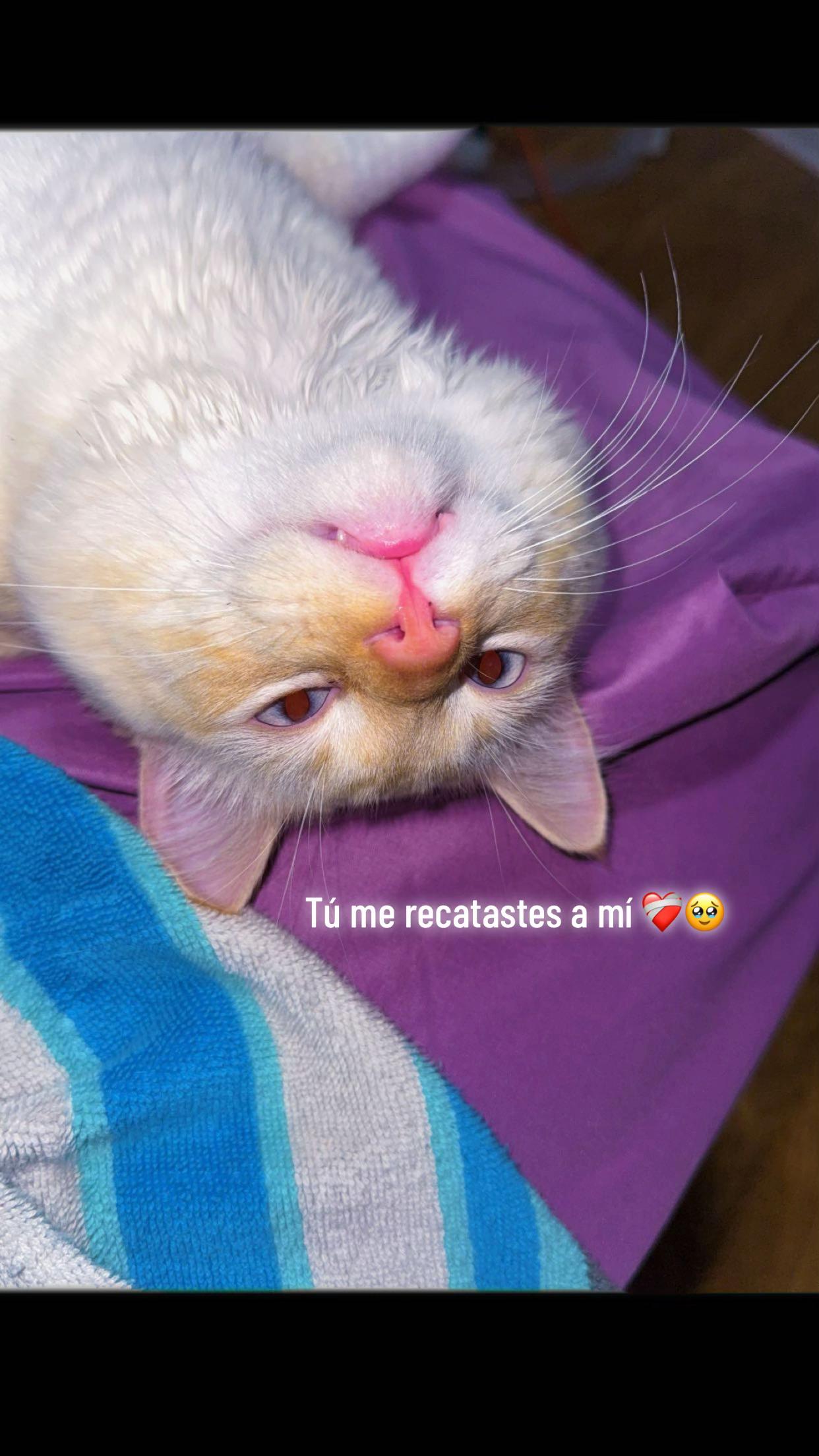 @nayecm__004