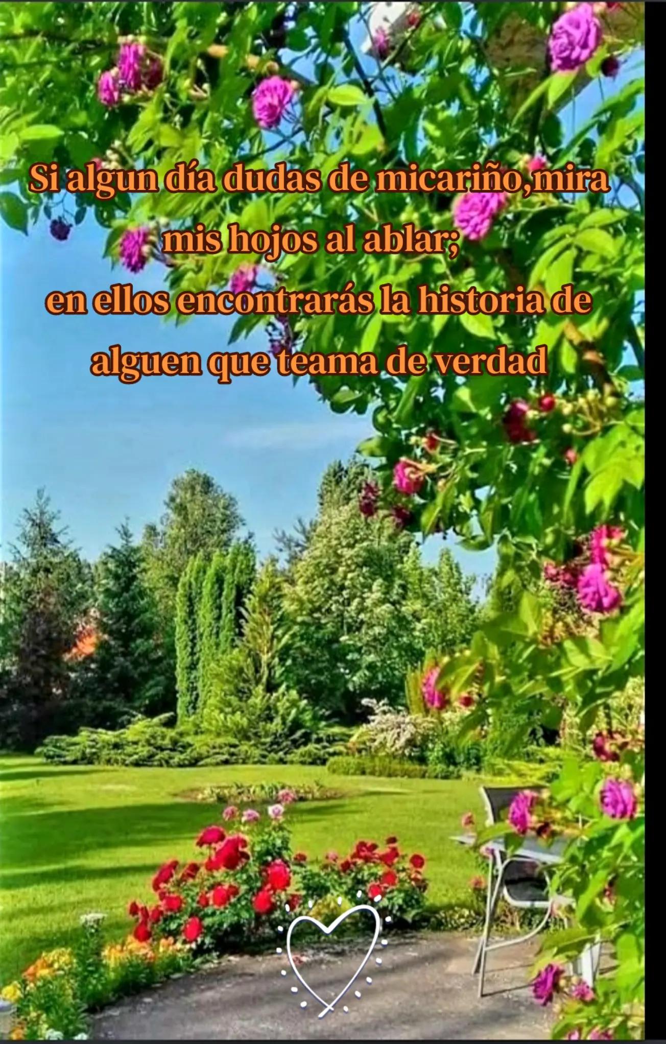 @patito6818