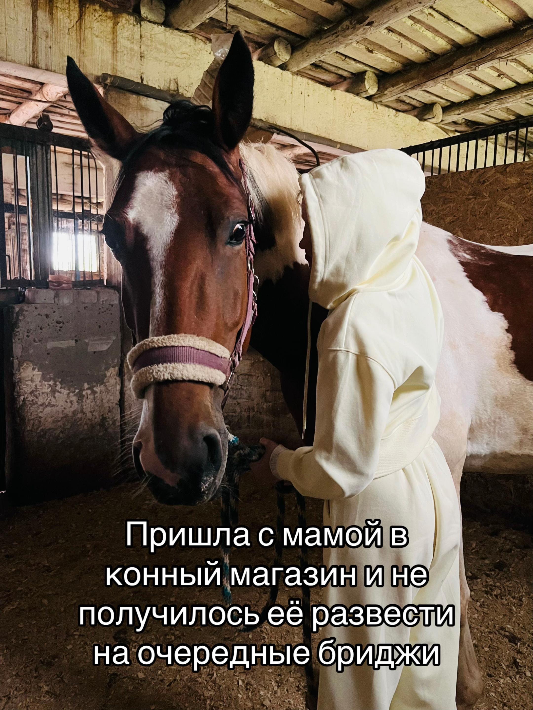 @Ли🐴