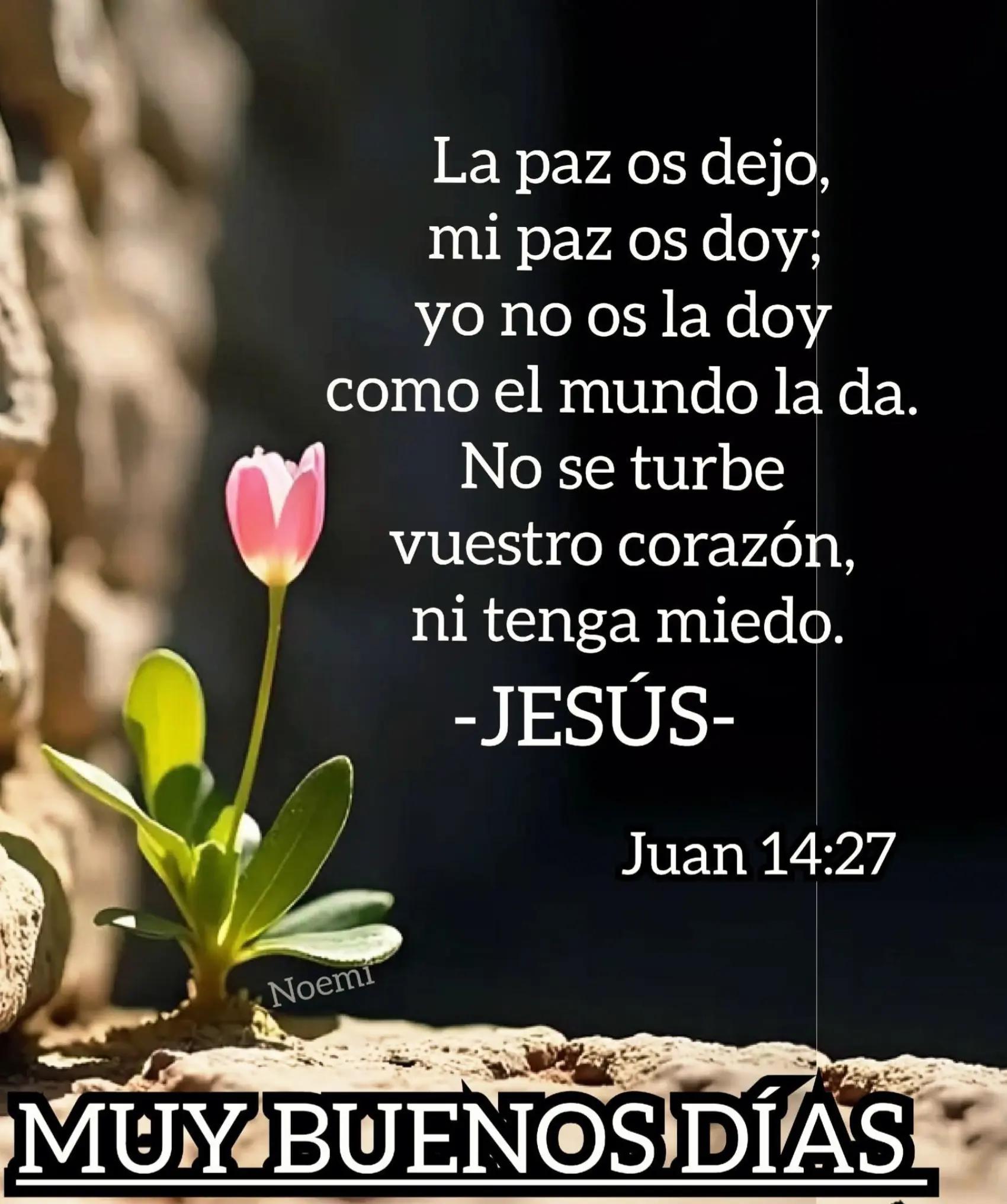 @hola, hola