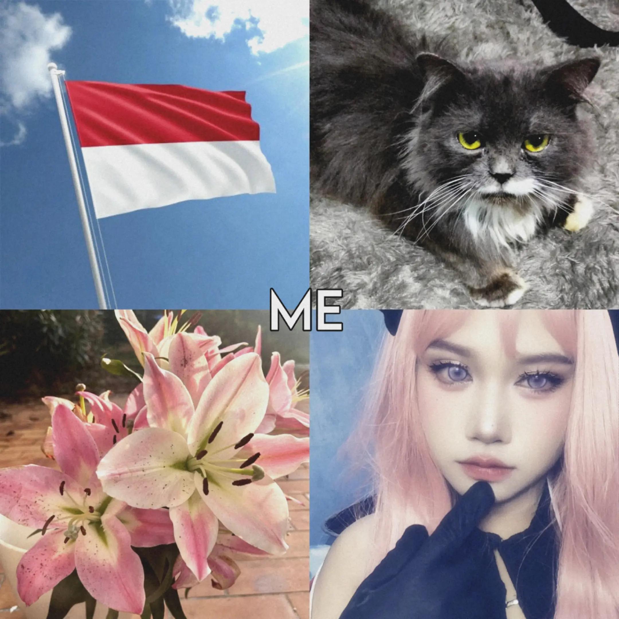 @Kienzy Lily