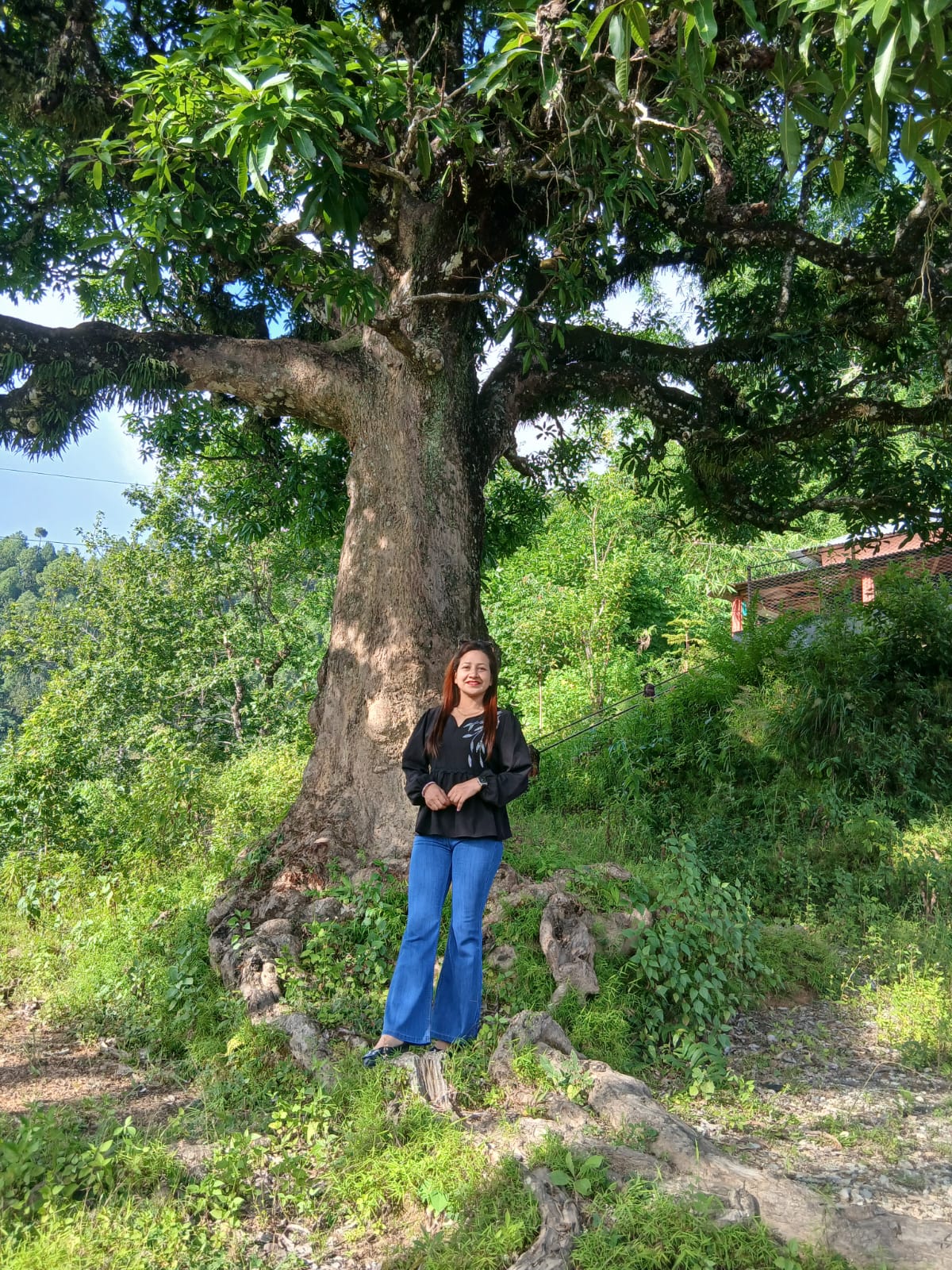 @bimala tiwari tiwari