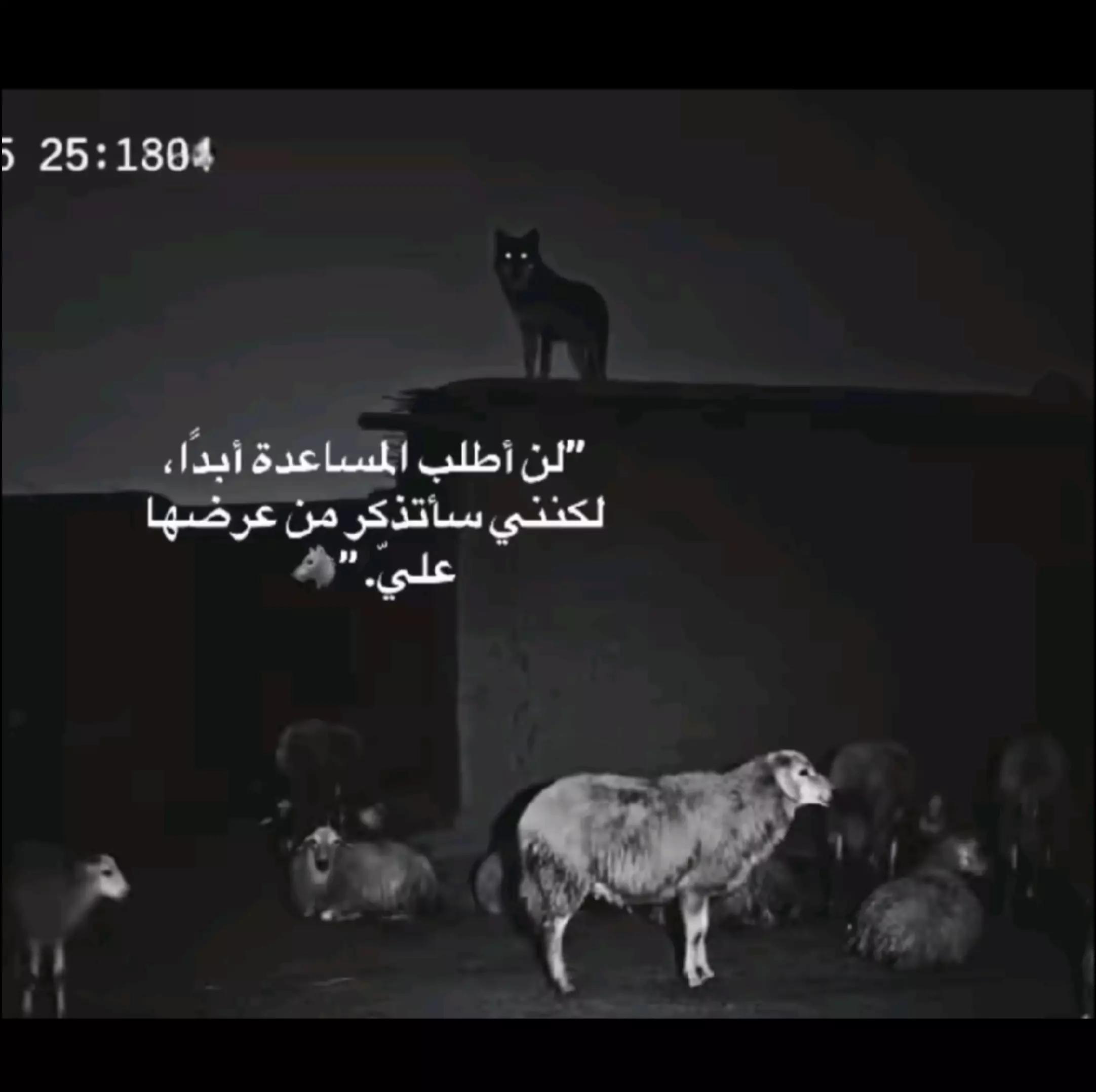 @🪽🤍ݺ،`مـــالـــك𓏲`