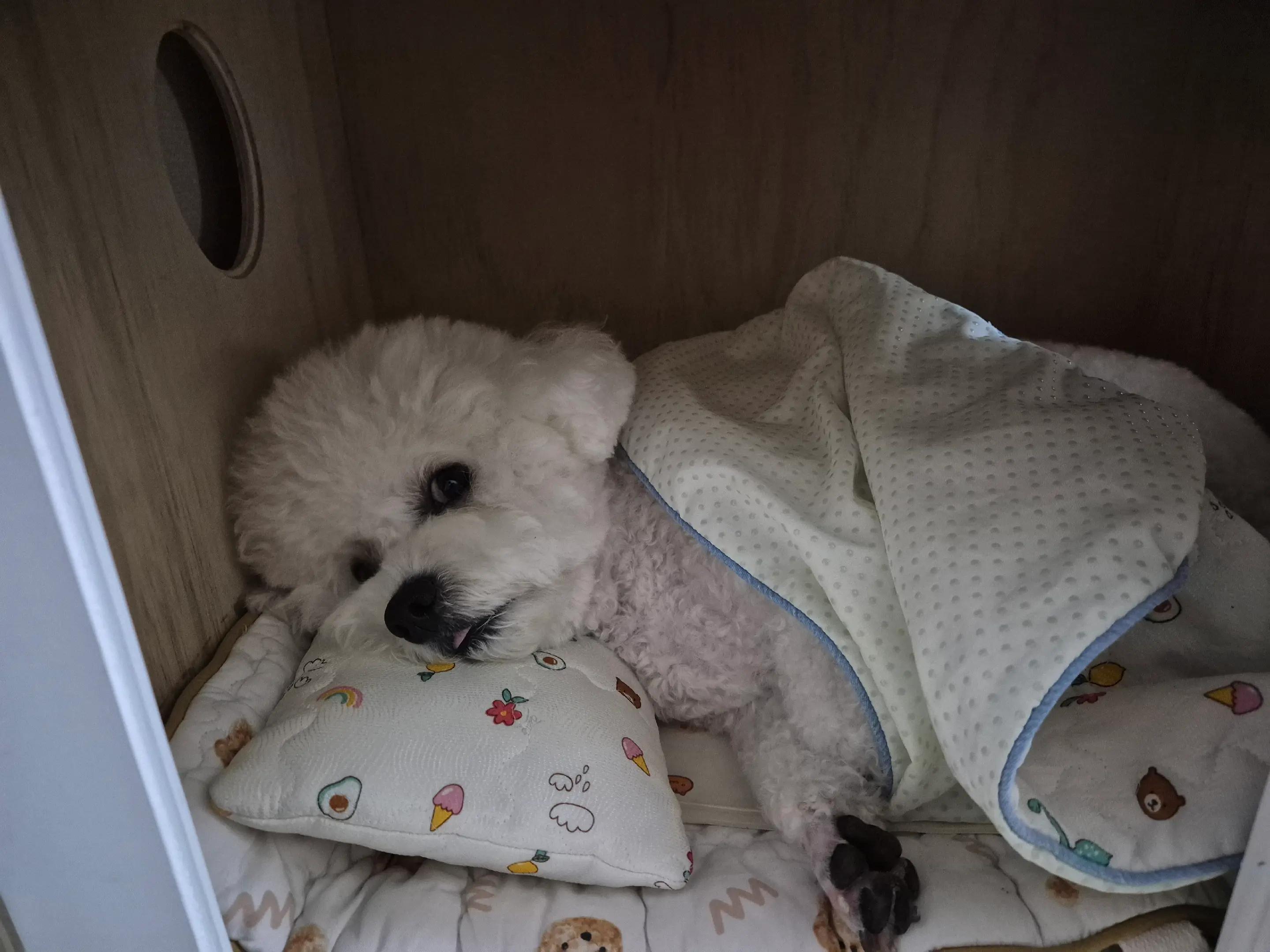 @식빵
