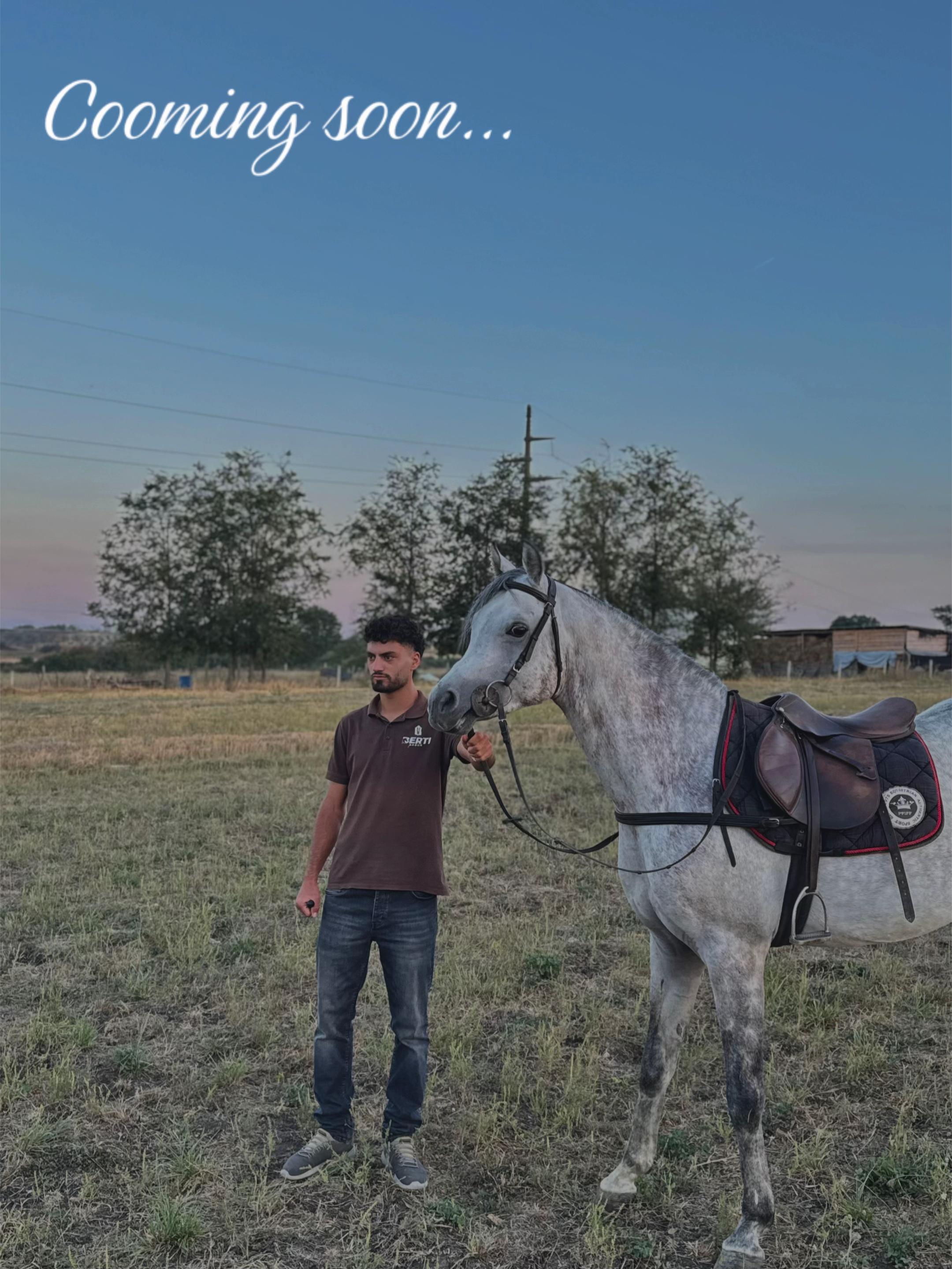 @BERTI RANCH 🐎