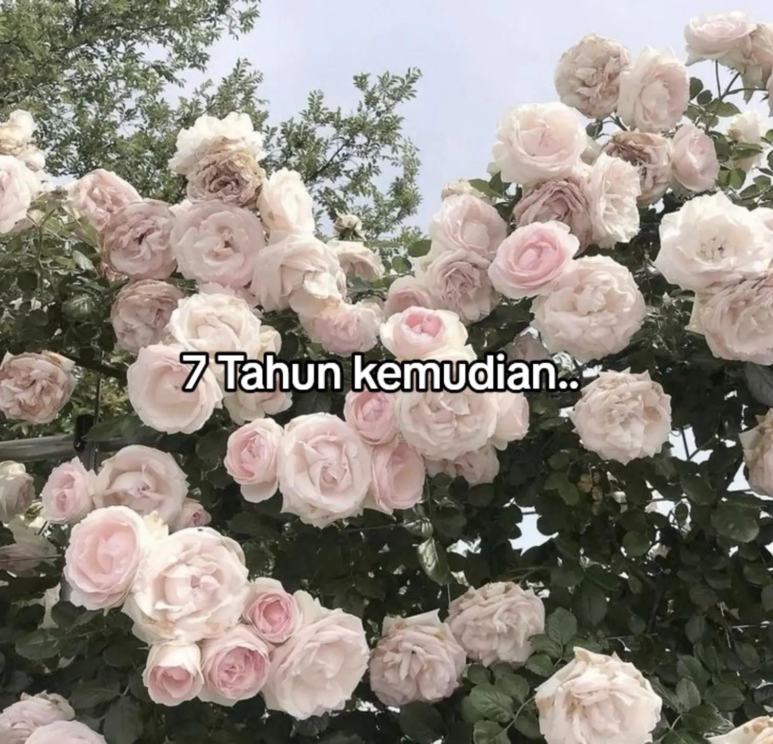 @Skyzy A.