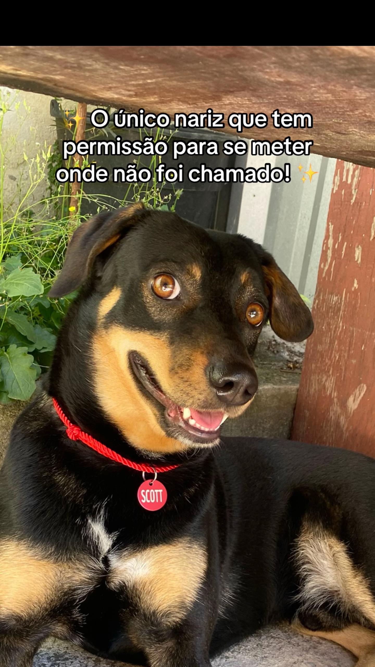 @Natália Pires