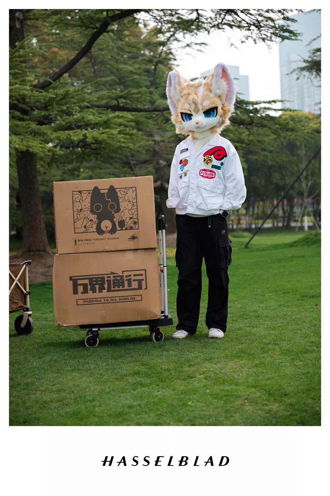 @๐ก๐ผ๐
๐ถ๐ฒ ๆฐธโ๏ธ